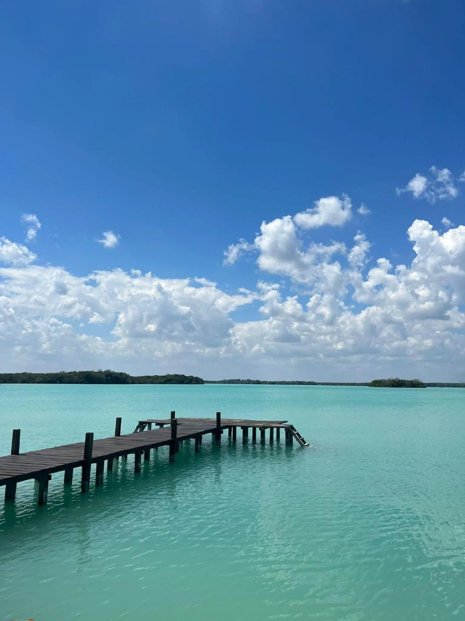 Garden view in Xanthus Hotel