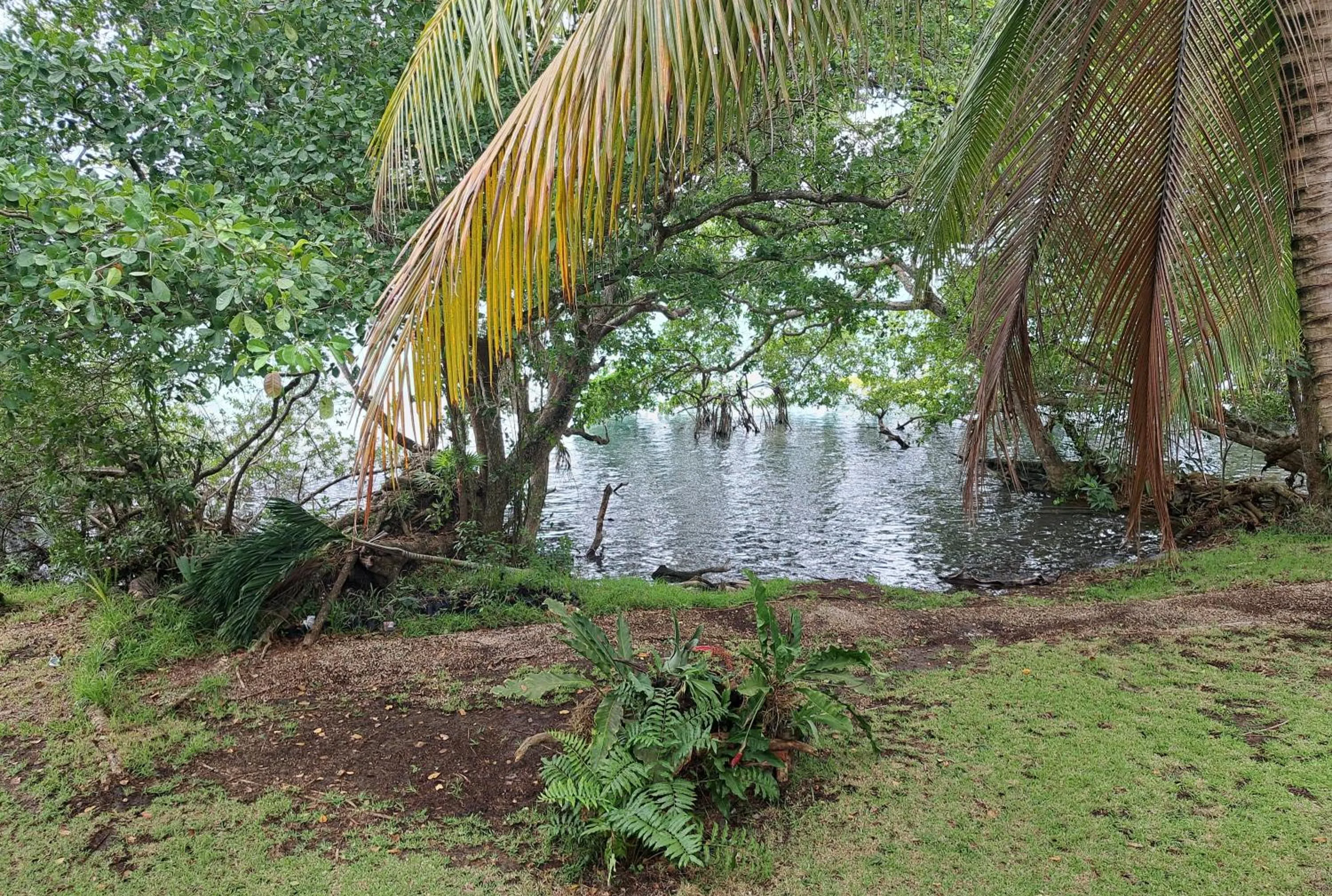 Garden in Xanthus Hotel
