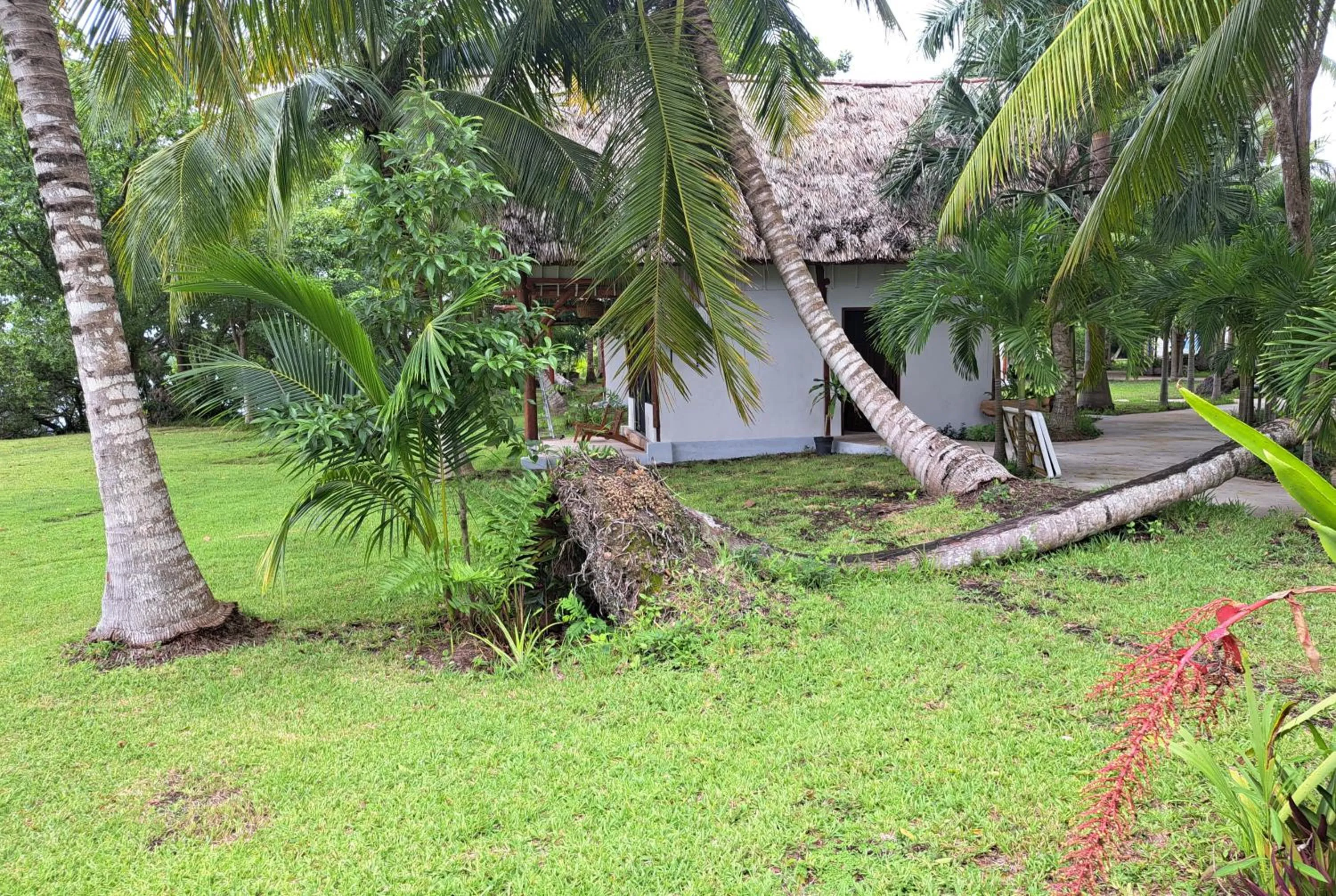 Property building in Xanthus Hotel