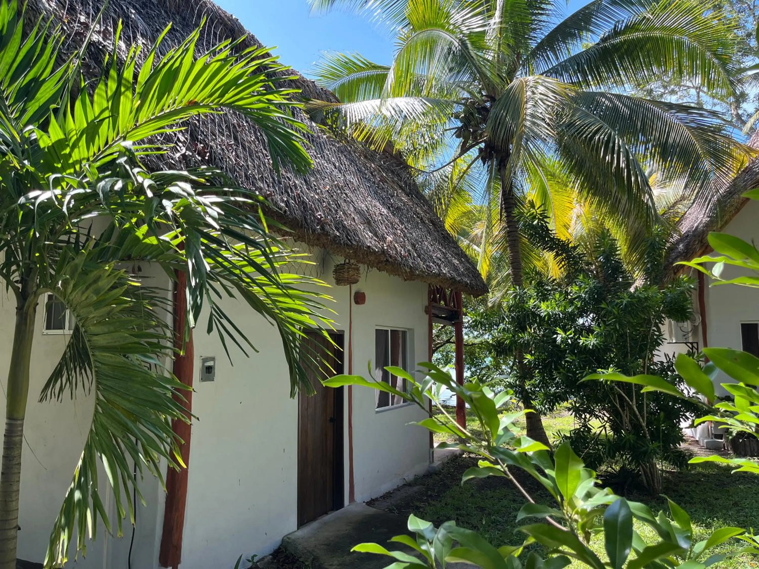 Garden view in Xanthus Hotel