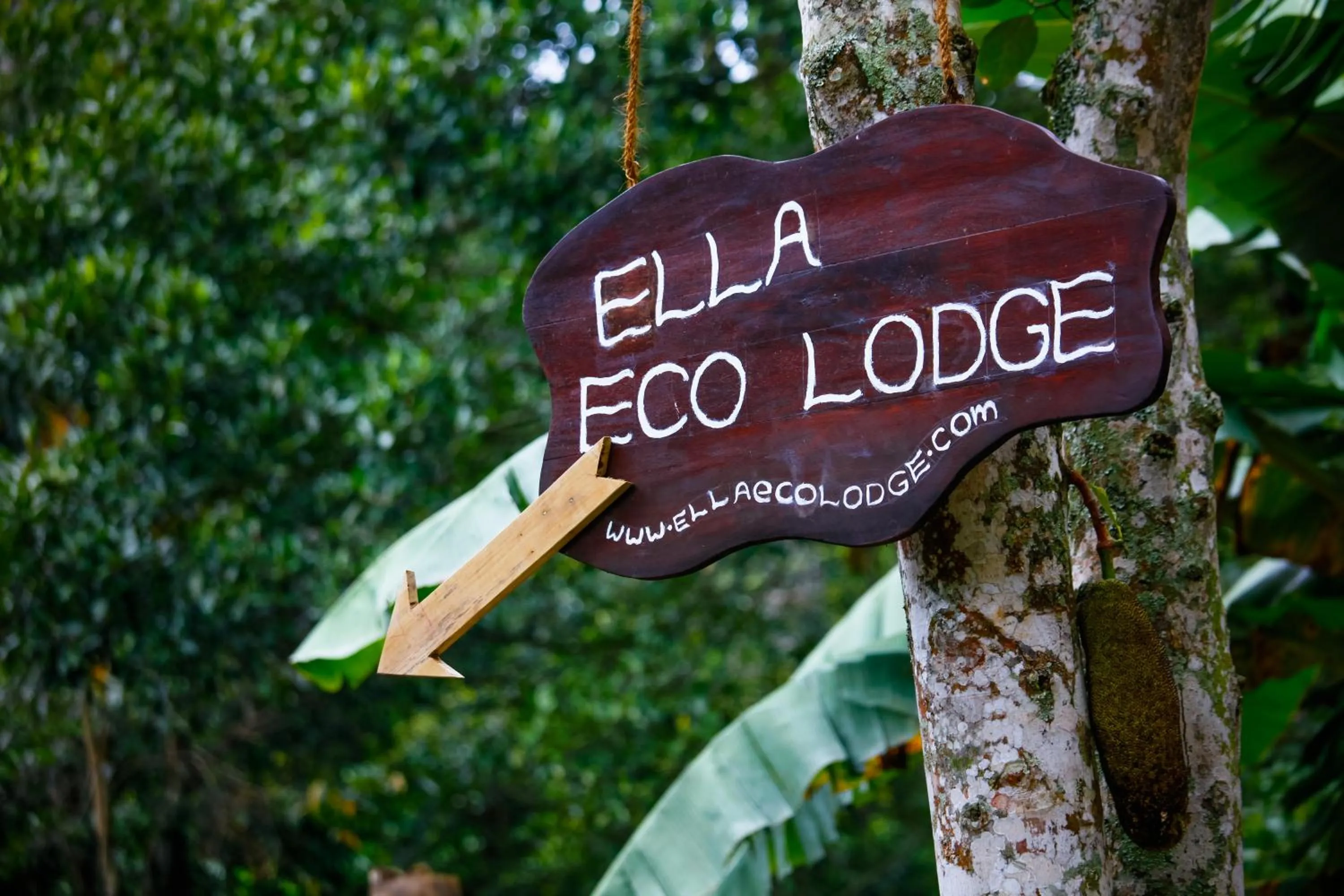 Property logo or sign in Ella Ecolodge