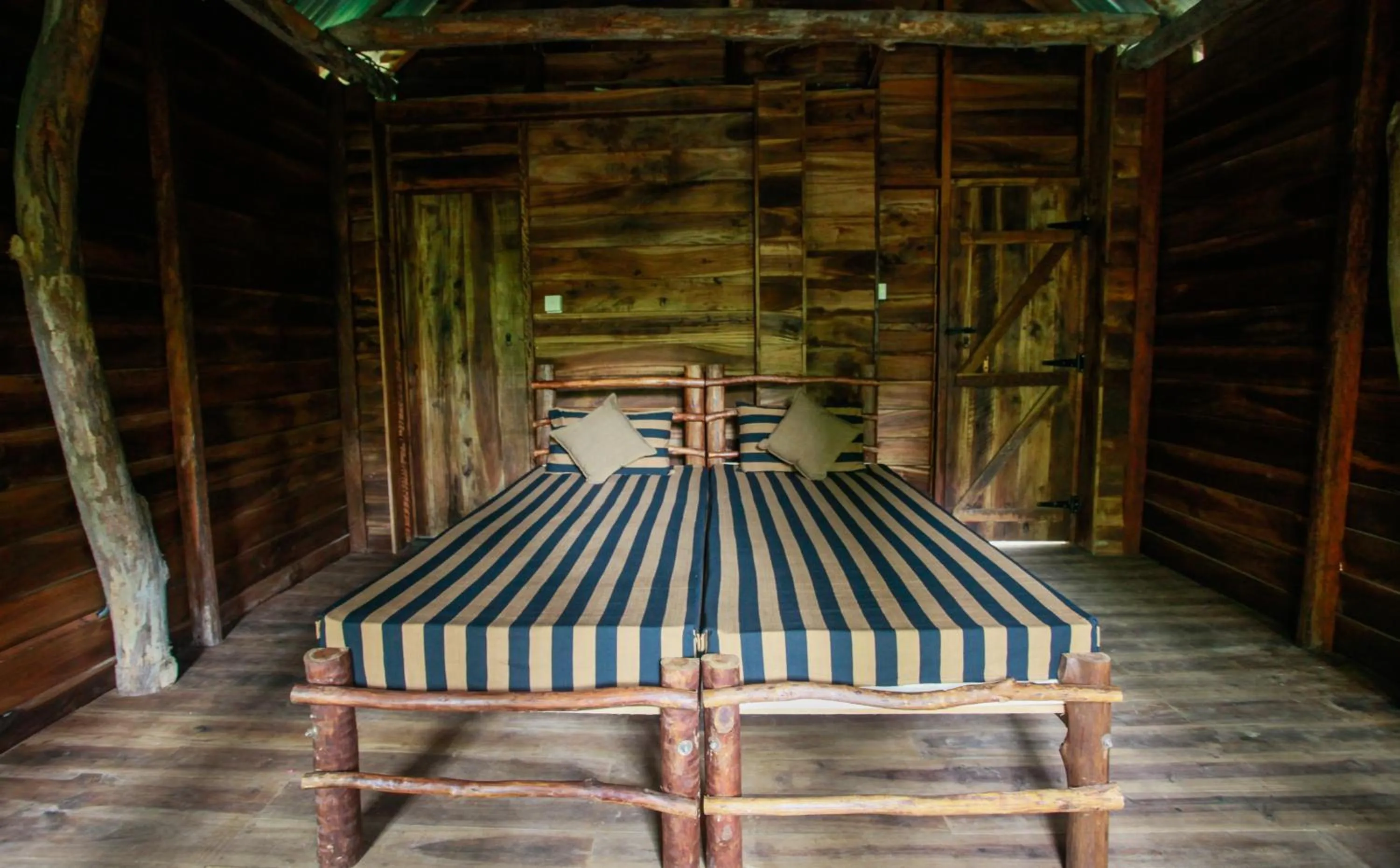 Photo of the whole room in Ella Ecolodge