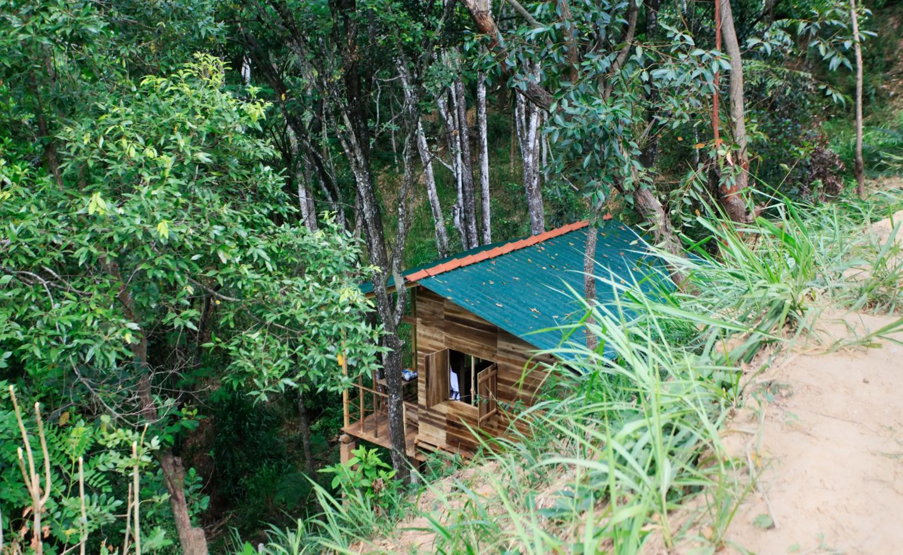 Bird's eye view in Ella Ecolodge