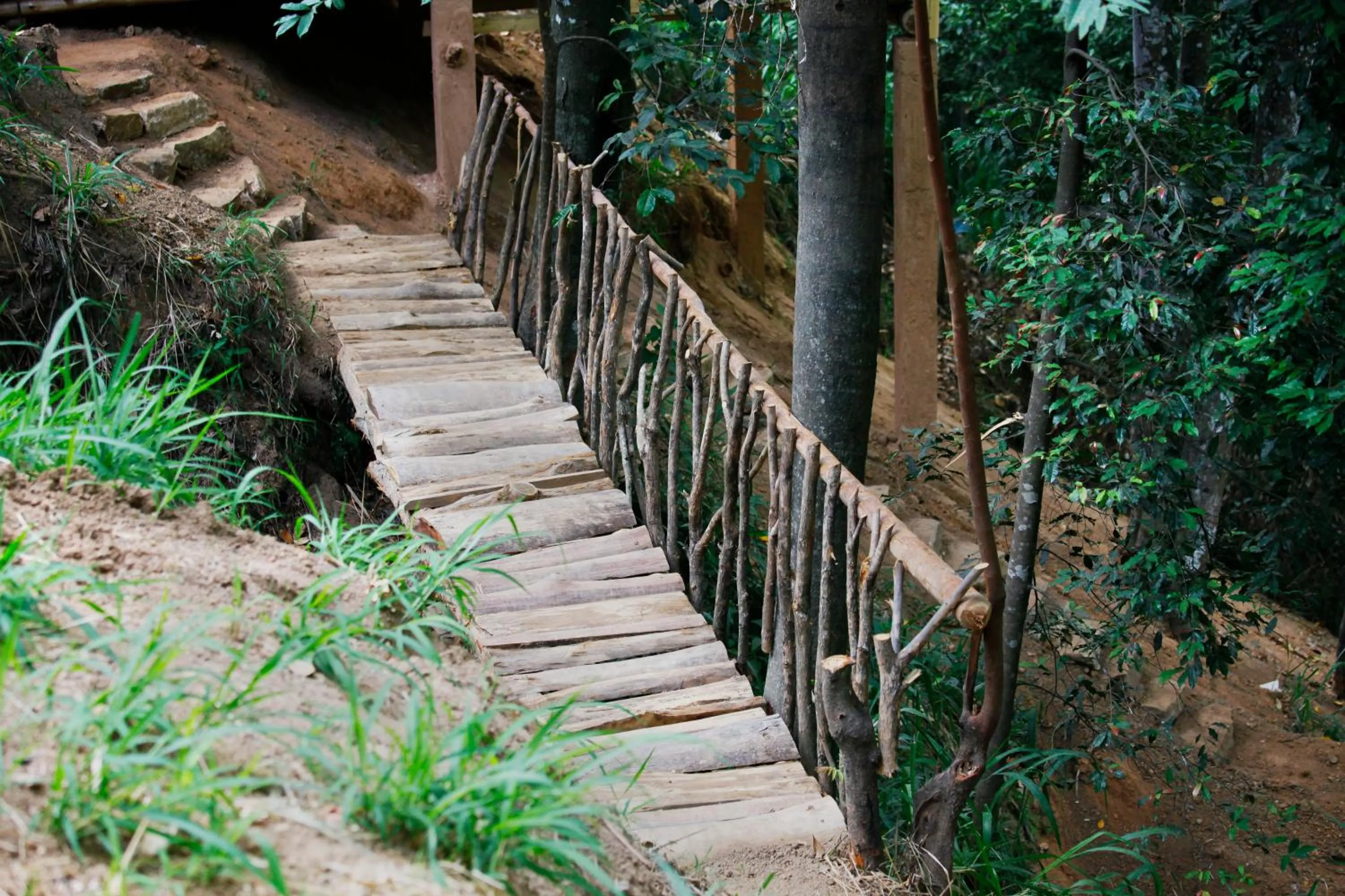 Garden in Ella Ecolodge