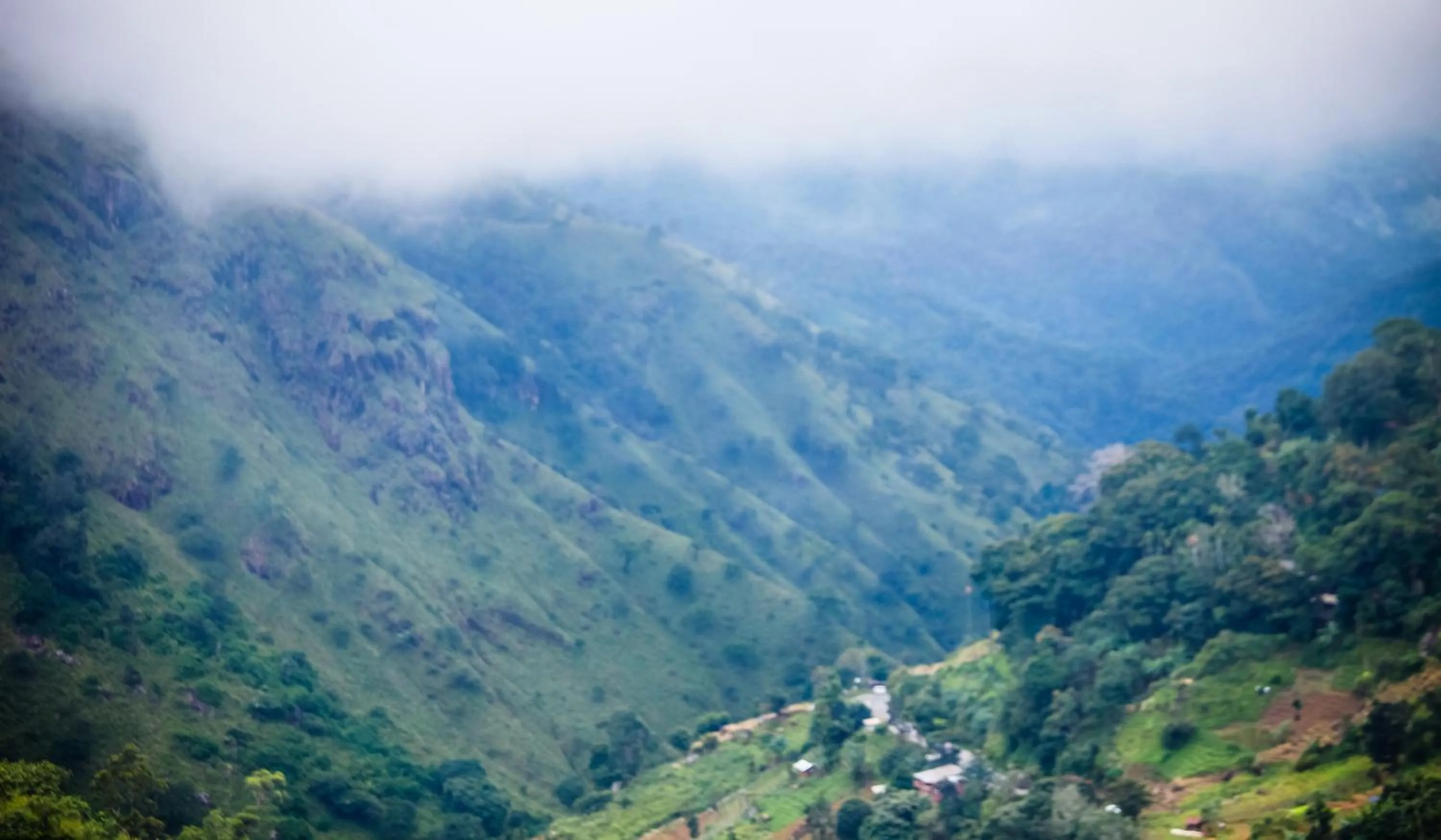 Nearby landmark in Ella Ecolodge