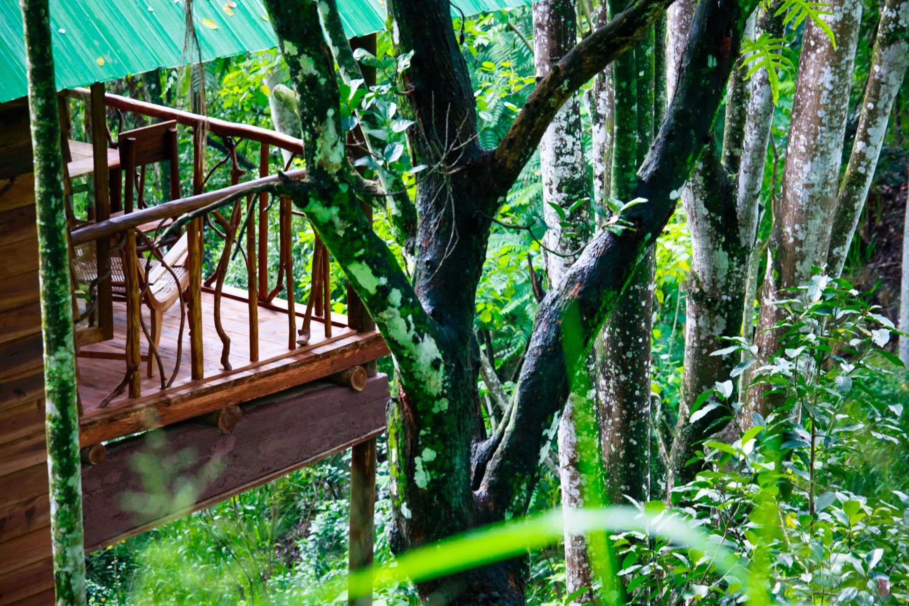 Natural landscape in Ella Ecolodge