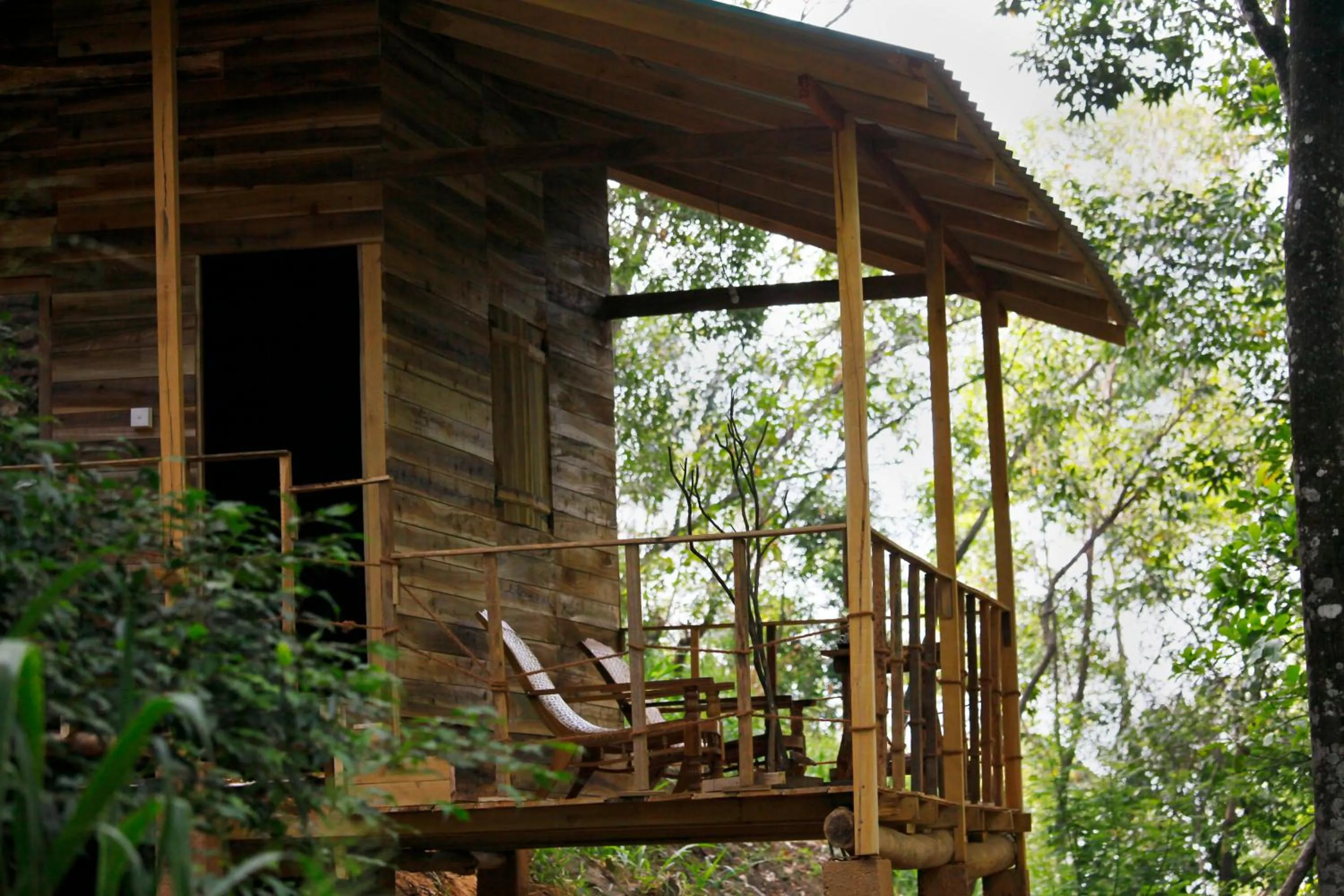 Bird's eye view in Ella Ecolodge