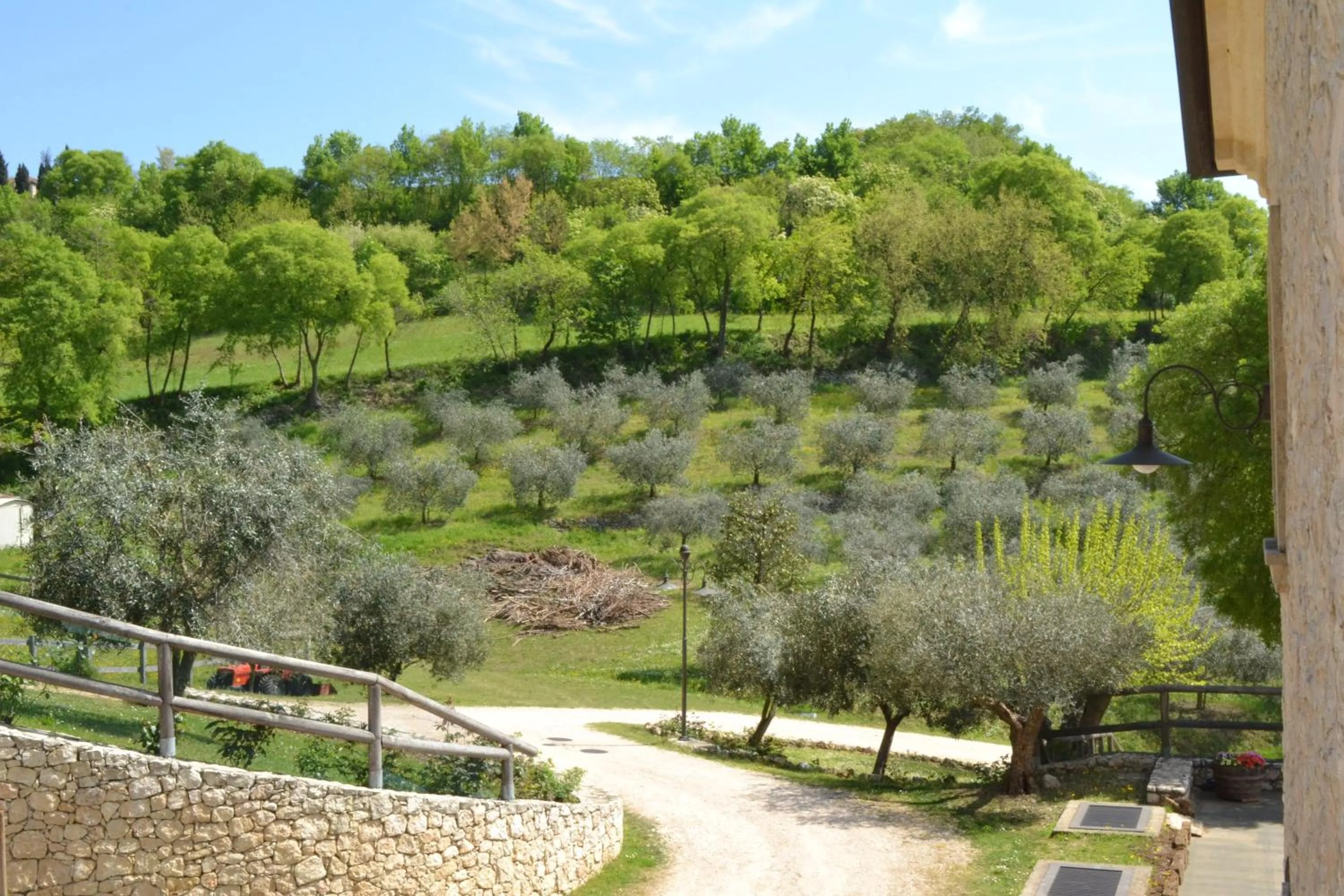 Garden view in Casale La Rocchetta