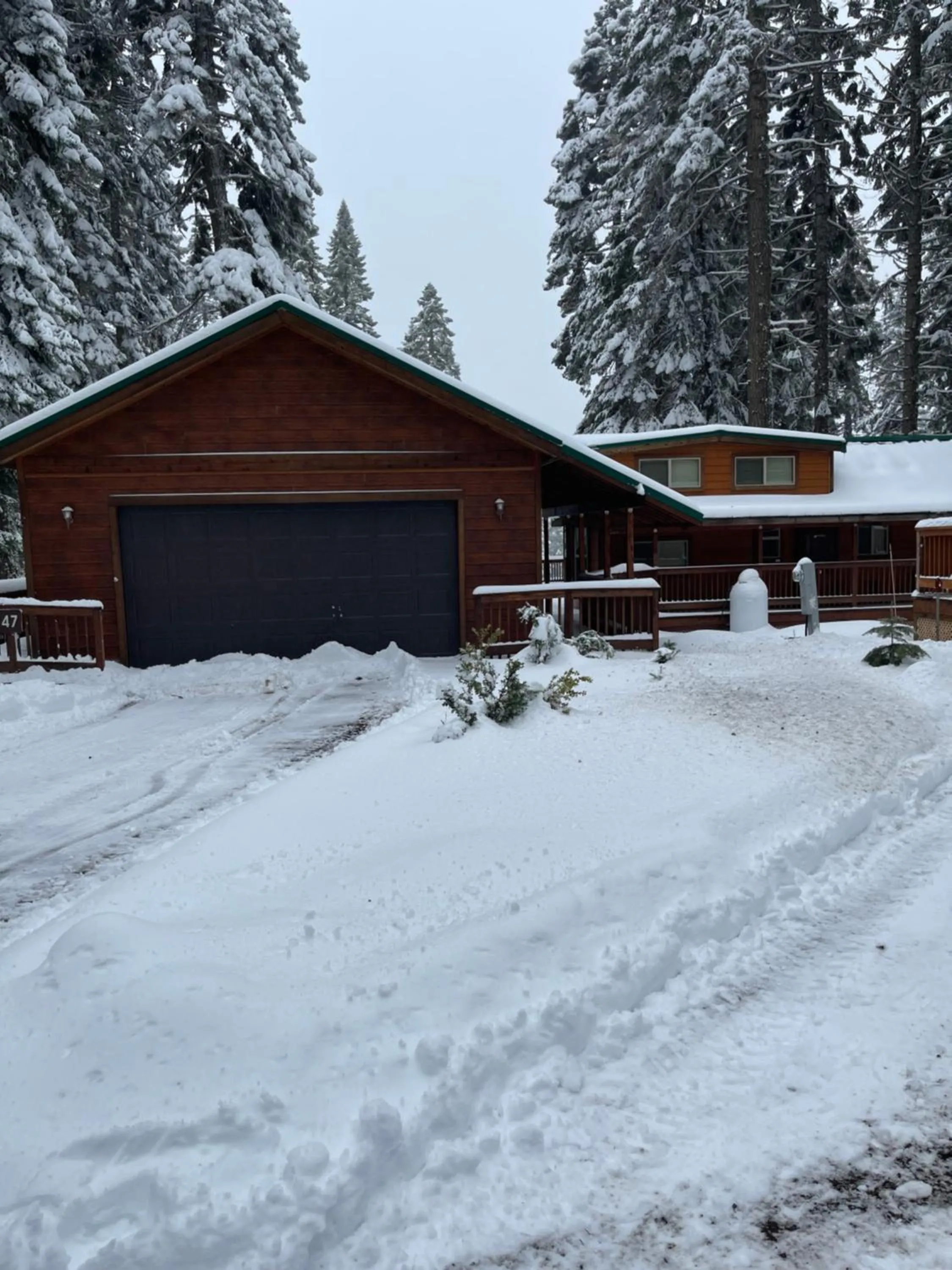 The Cabins at Hyatt