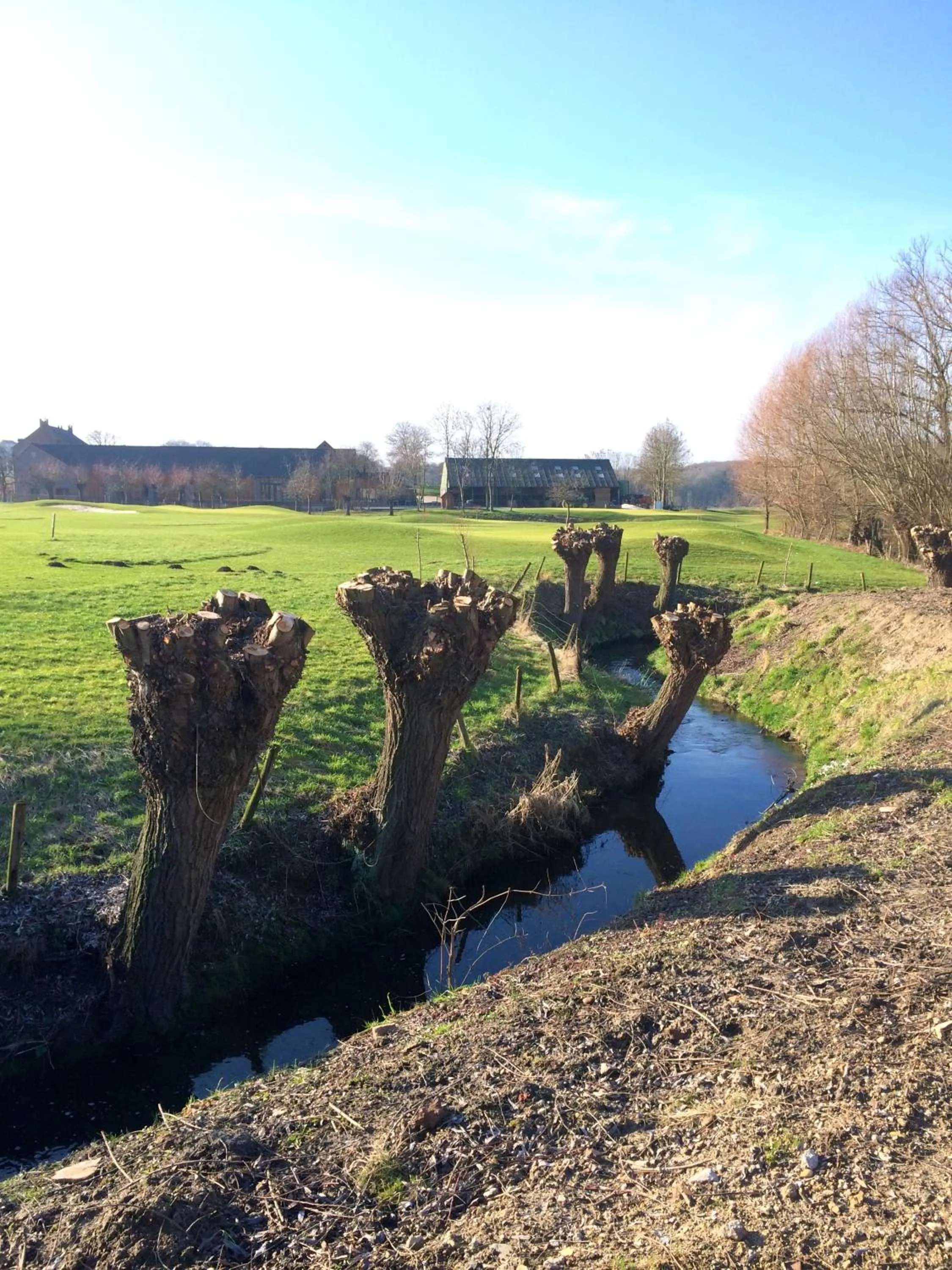 Spring in Hotel De Lange Akker