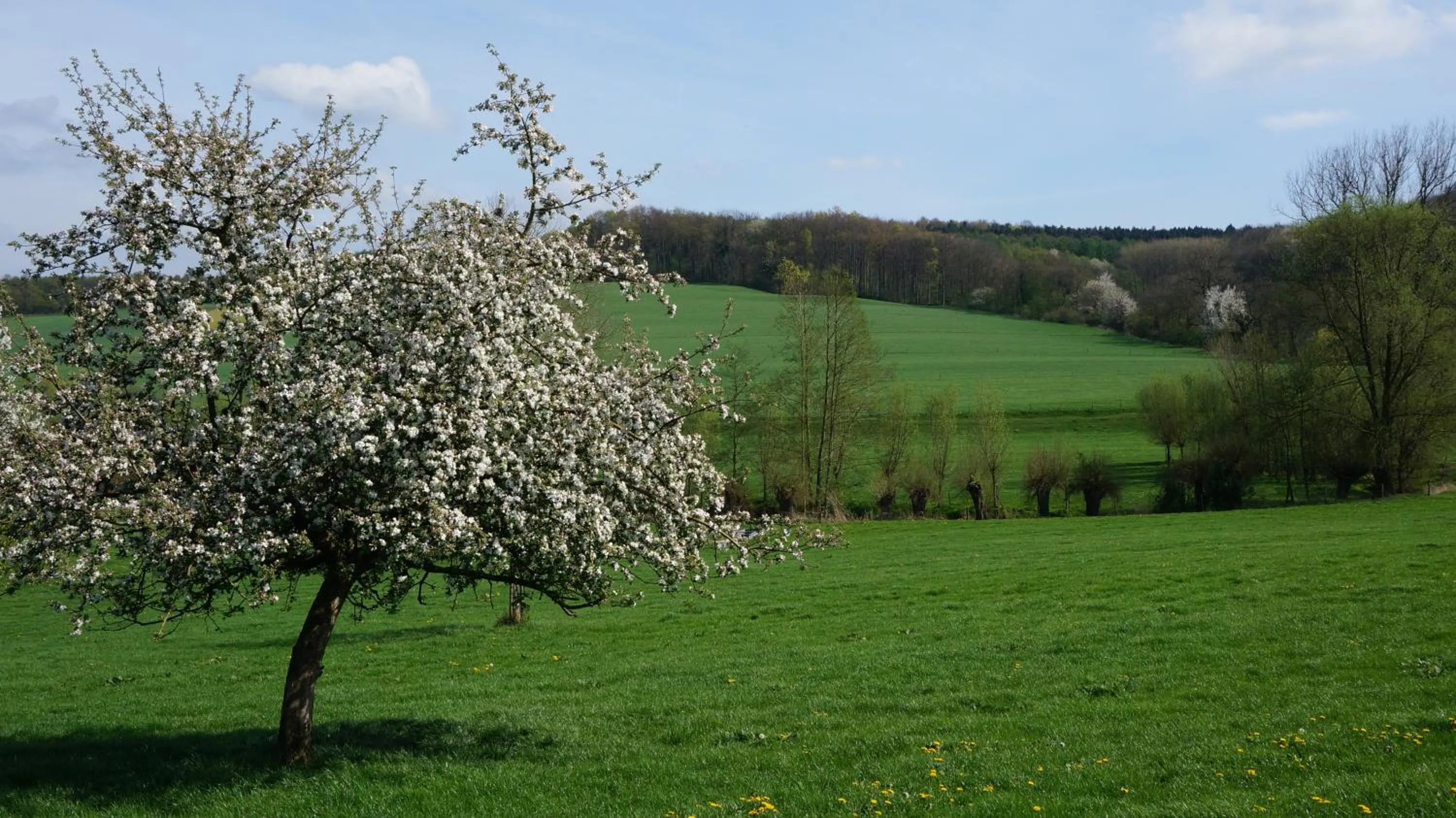 Spring in Hotel De Lange Akker
