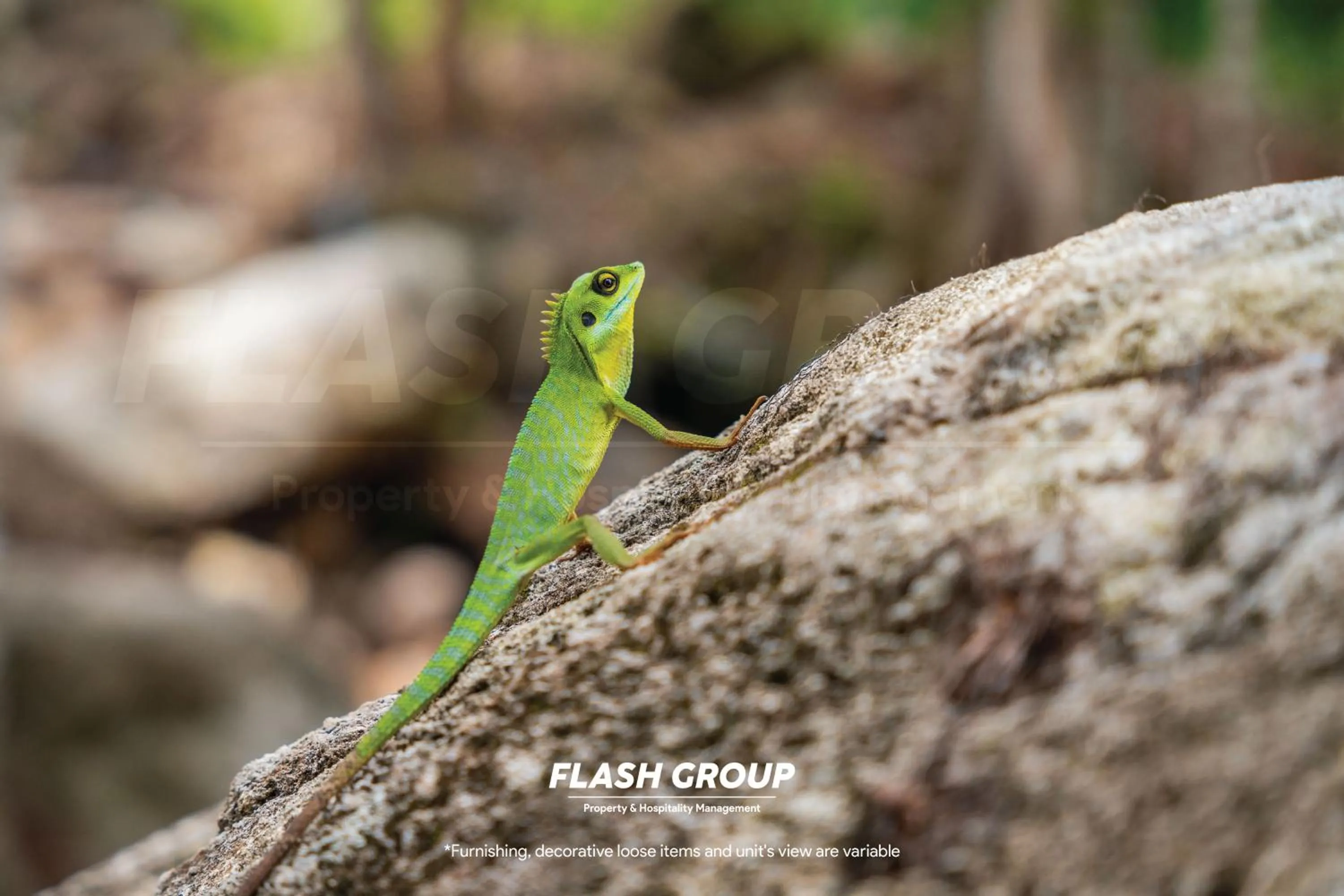 Enclave Premium Suites at Bukit Tinggi