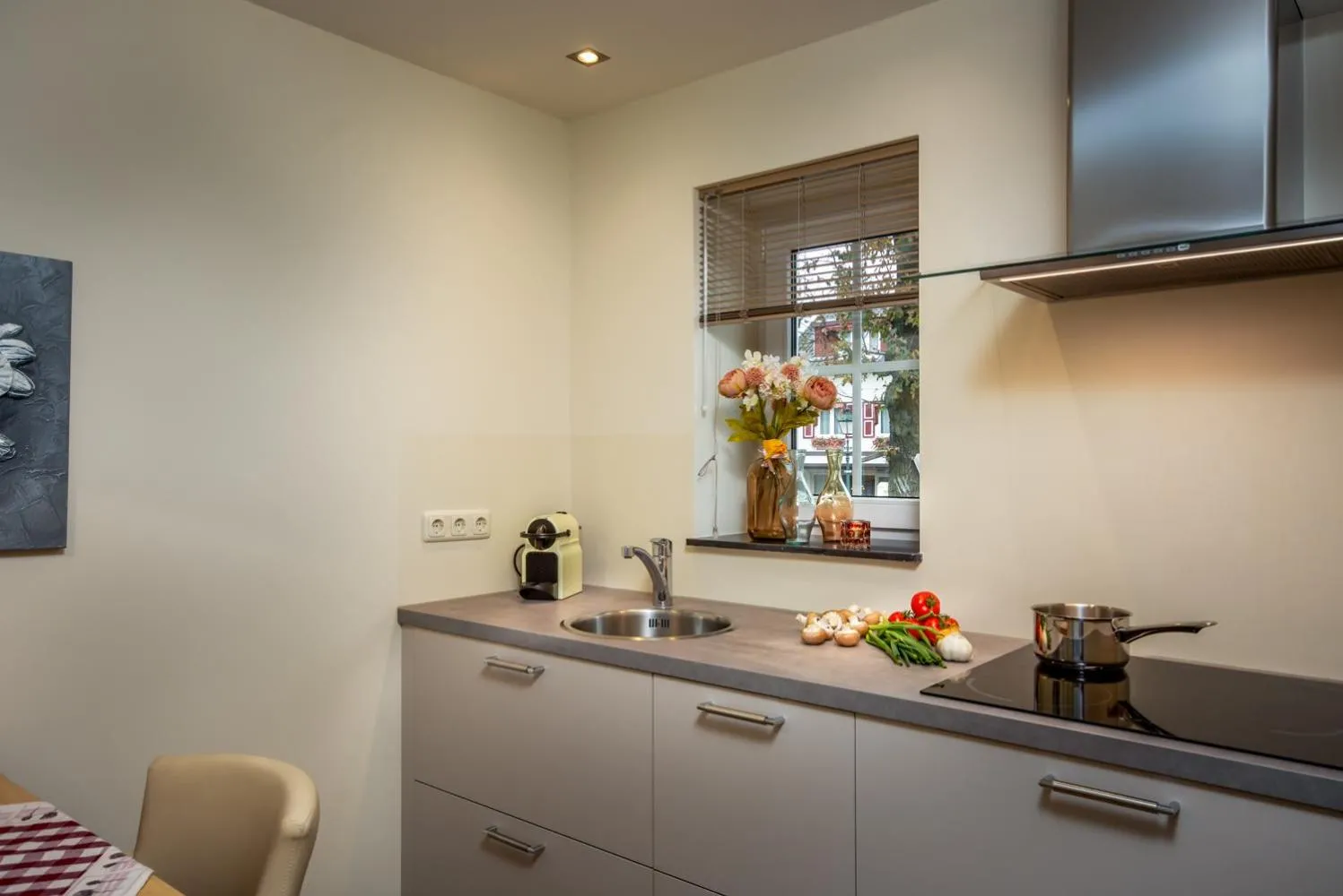 Kitchen or kitchenette in Aparthotel Ons Epen