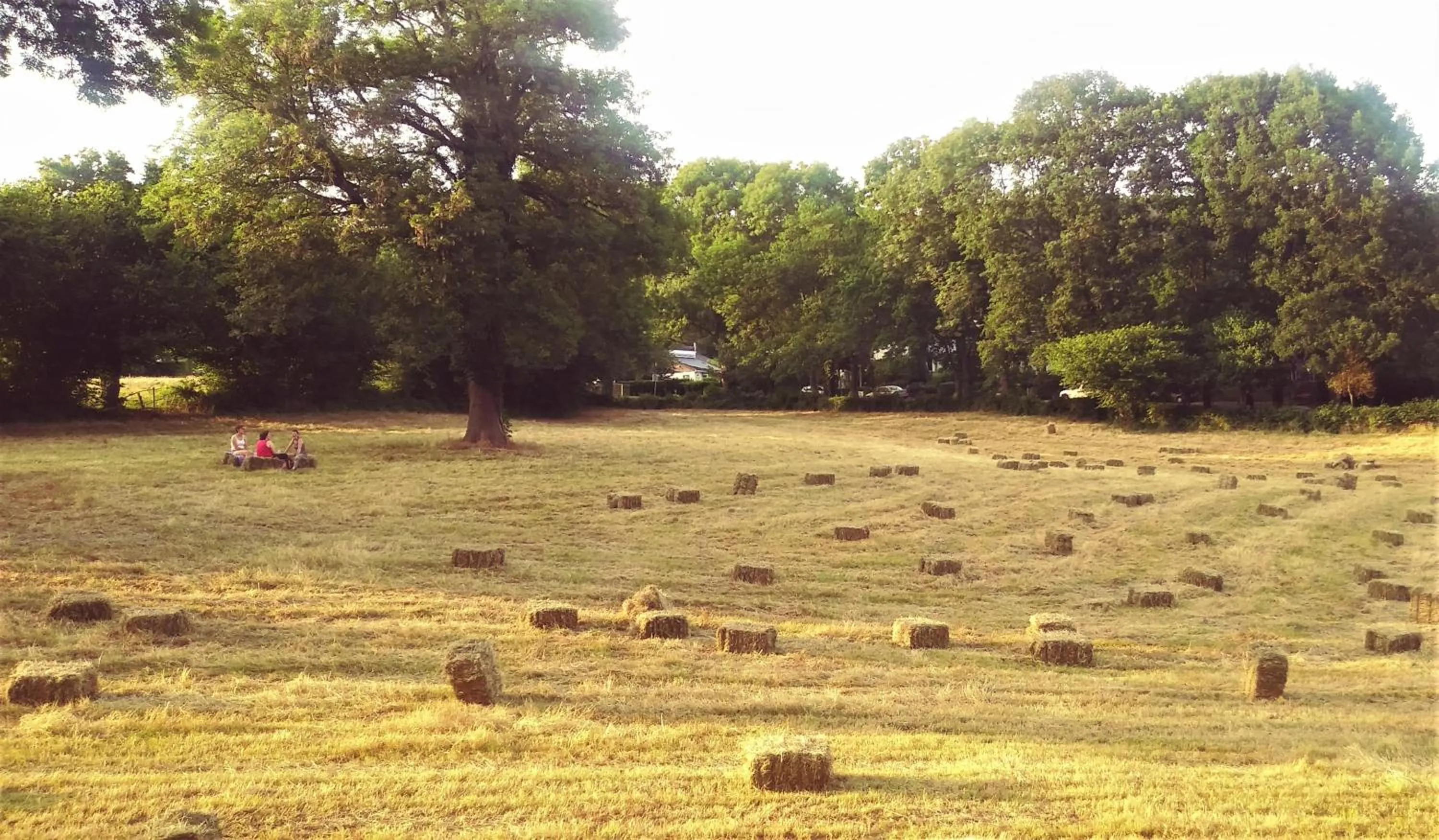 Natural landscape in Aparthotel Ons Epen