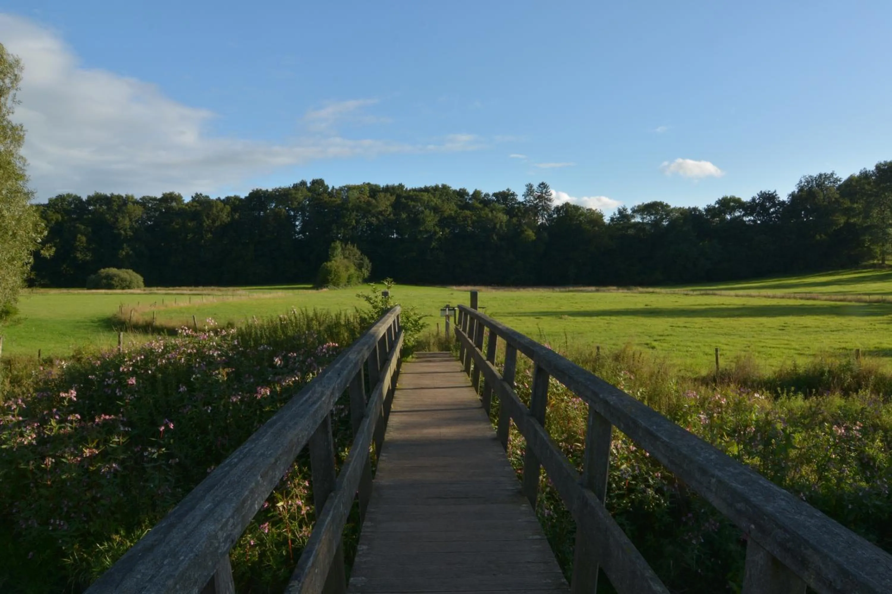 Natural landscape in Aparthotel Ons Epen