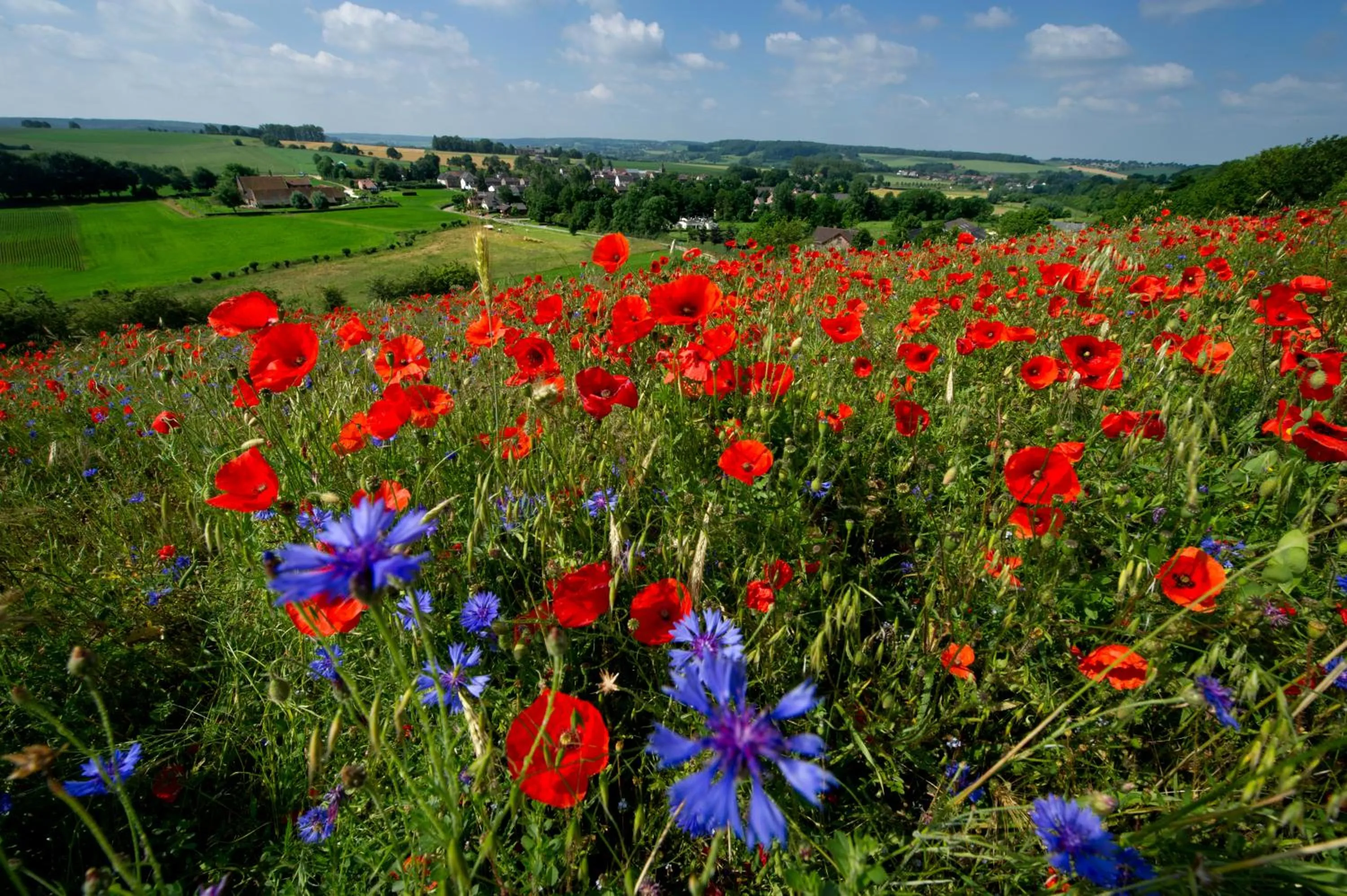 Natural landscape in Aparthotel Ons Epen