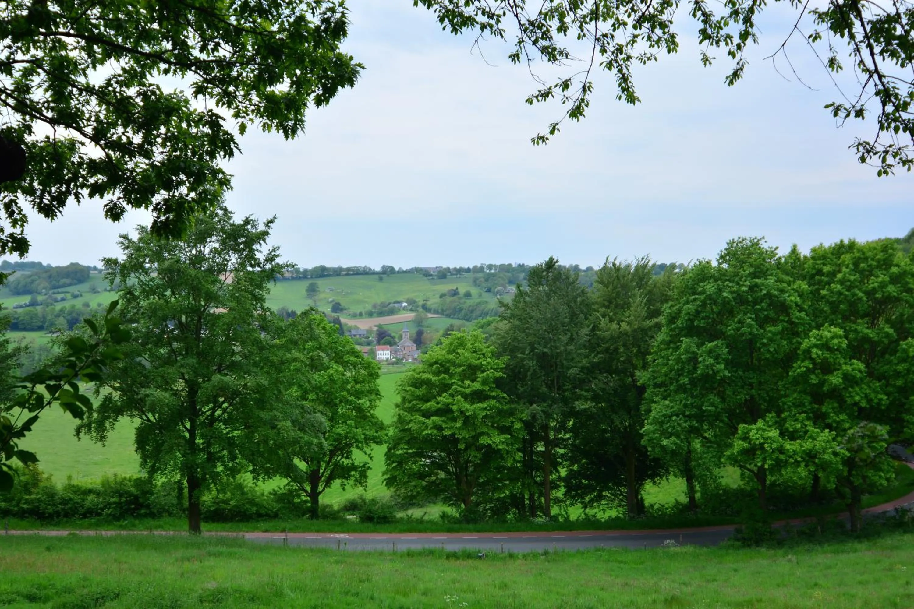 Natural landscape in Aparthotel Ons Epen