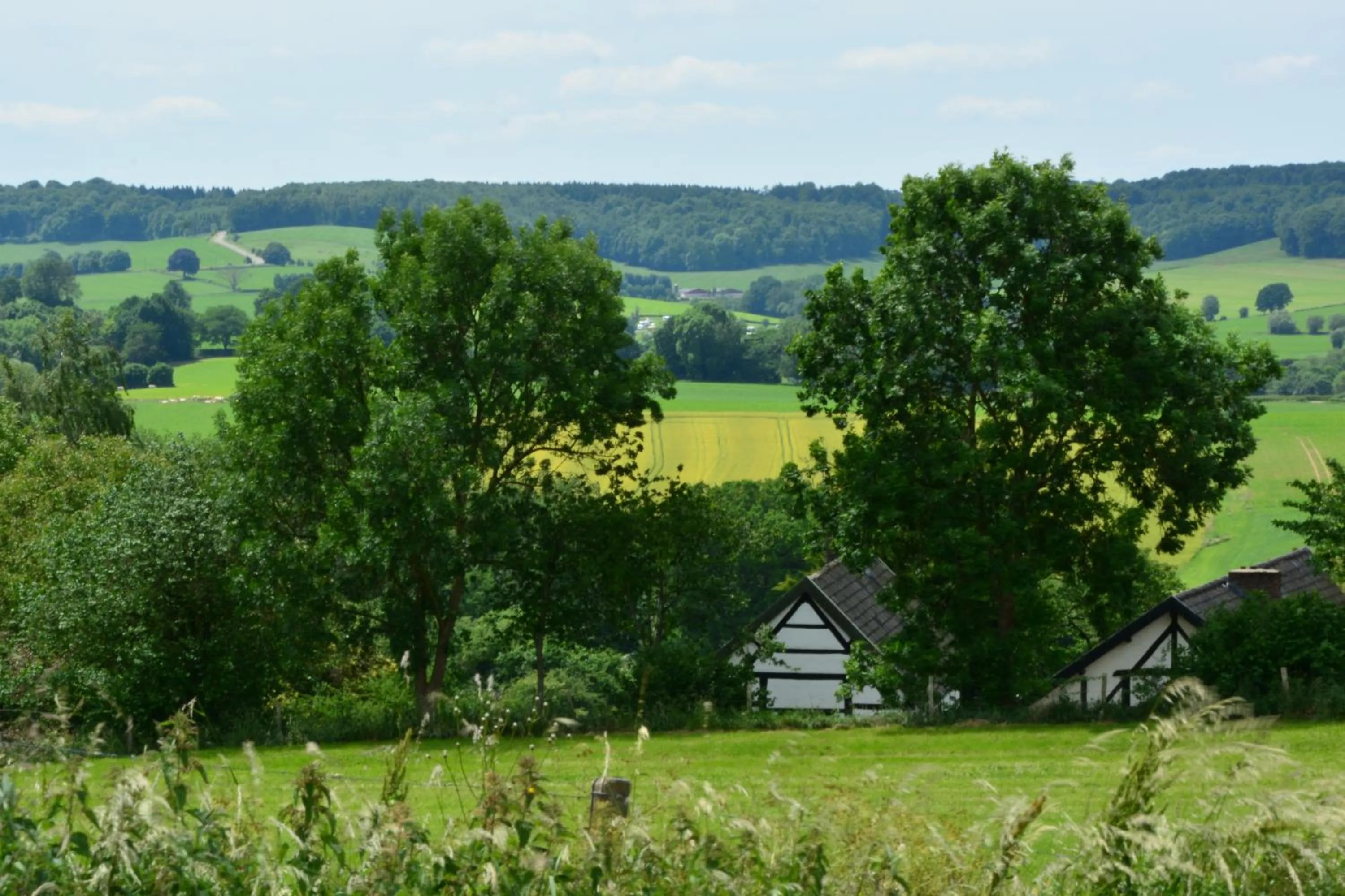 Neighbourhood in Aparthotel Ons Epen
