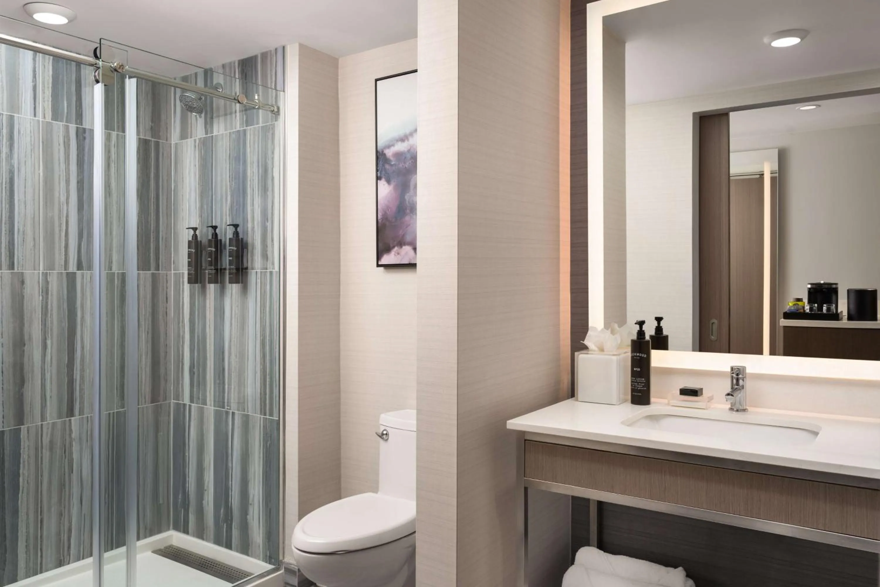 Bathroom in Hotel Lela Wilmington, Tapestry Collection By Hilton