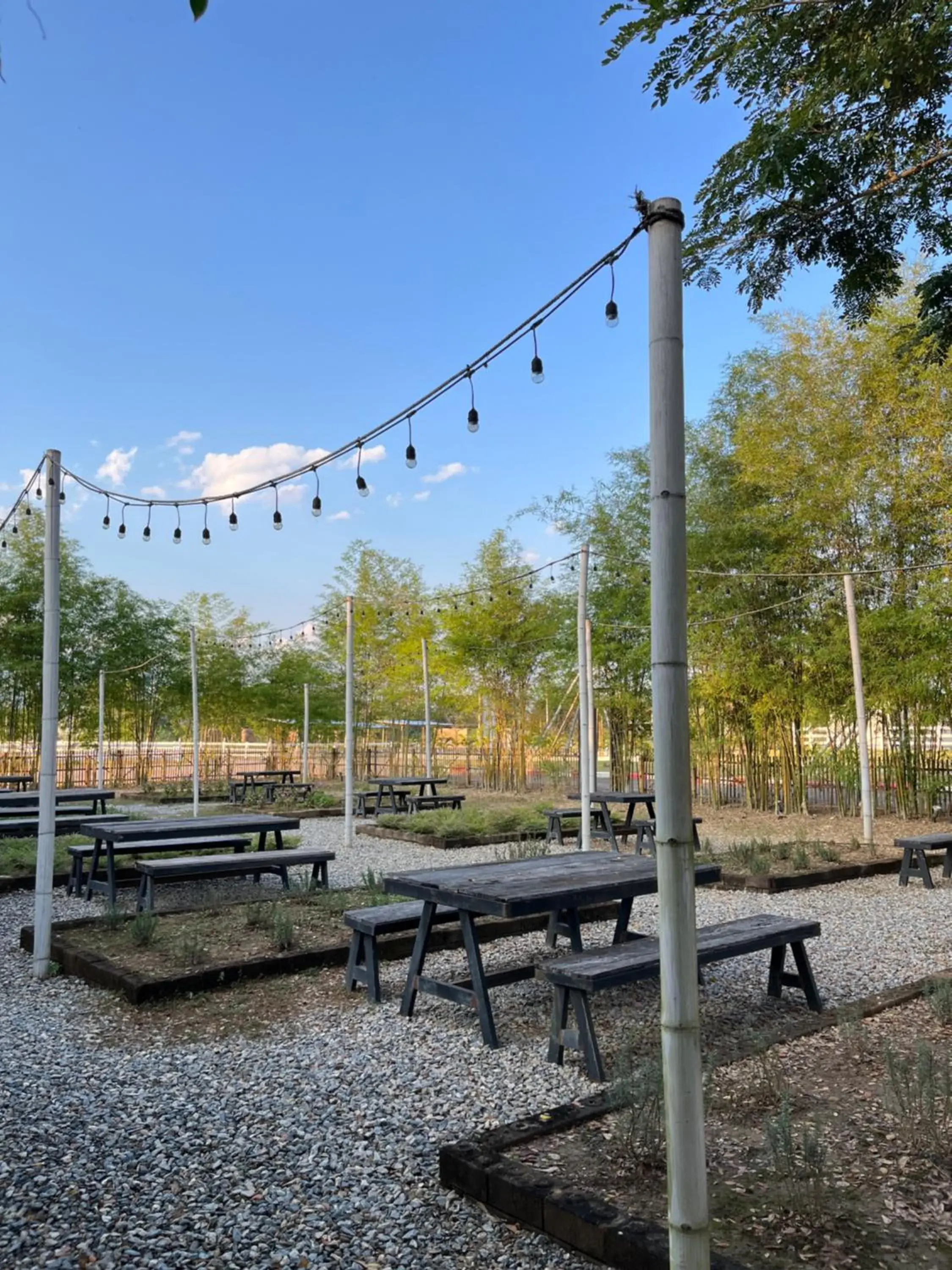 Restaurant/places to eat in Isbjorn chiangdao Restaurant/places to eat in Isbjorn chiangdao