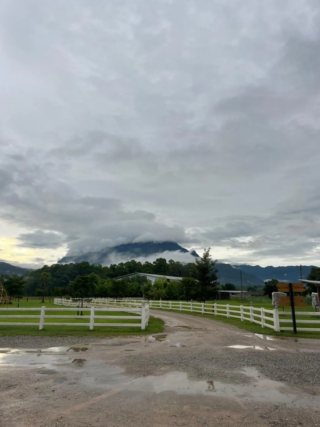 View (from property/room) in Isbjorn chiangdao