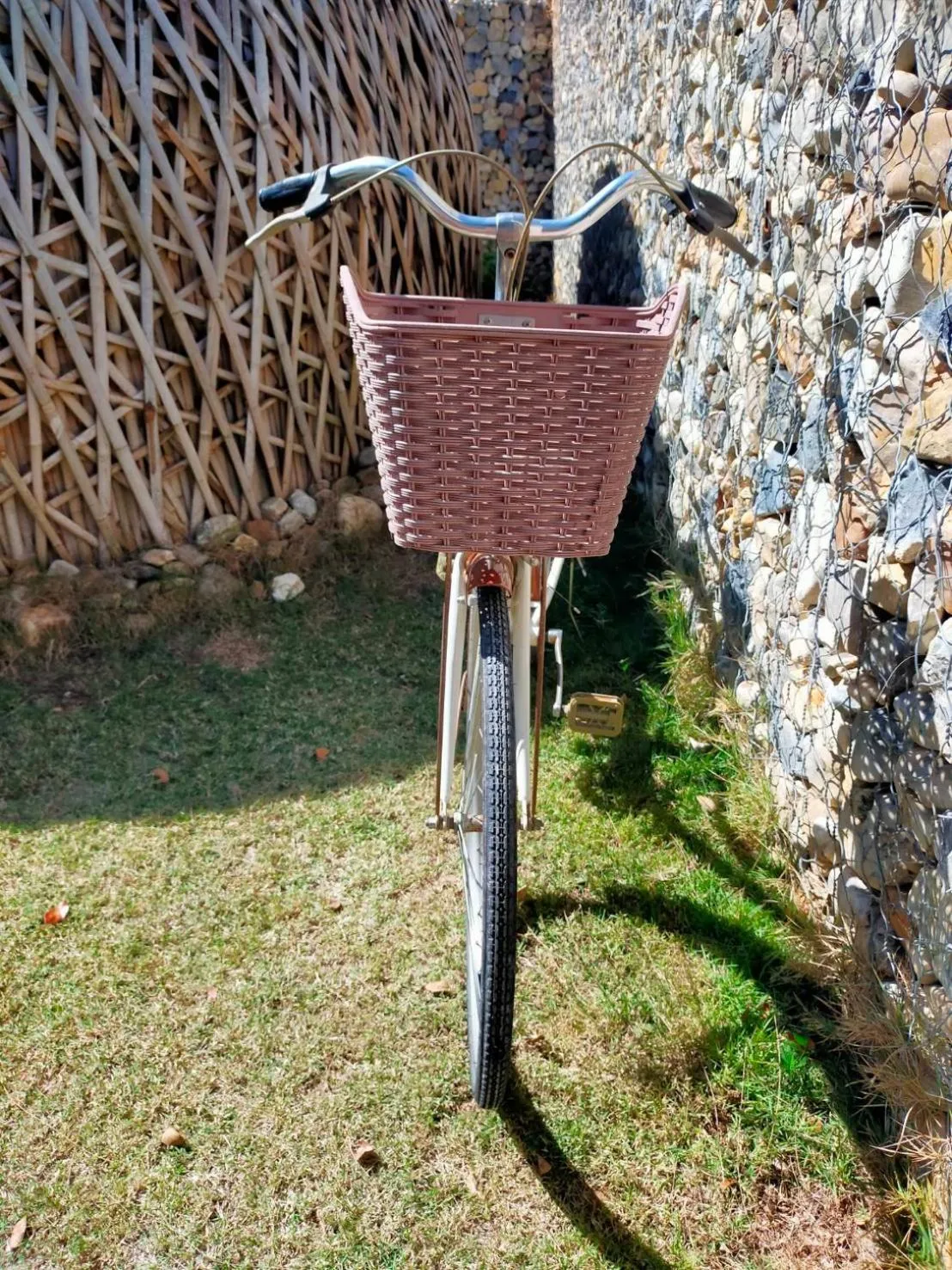 Cycling in Isbjorn chiangdao