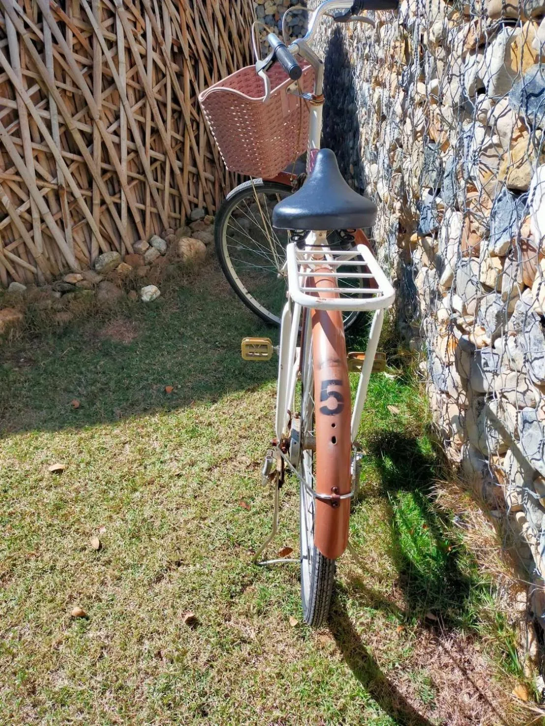 Cycling in Isbjorn chiangdao