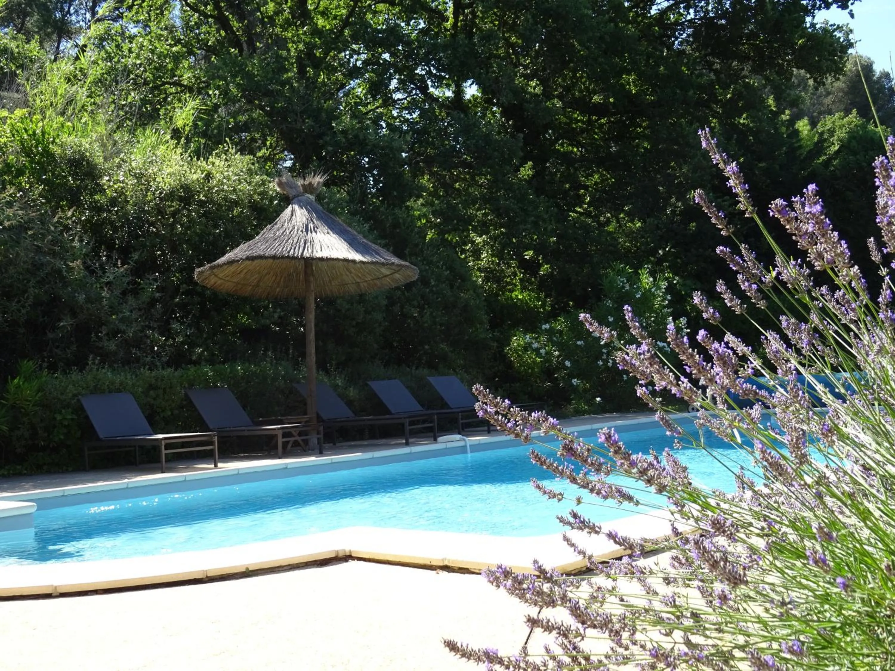 Auberge De Saint-Rémy - Mas De Garance - Table Gastronomique Étoilé
