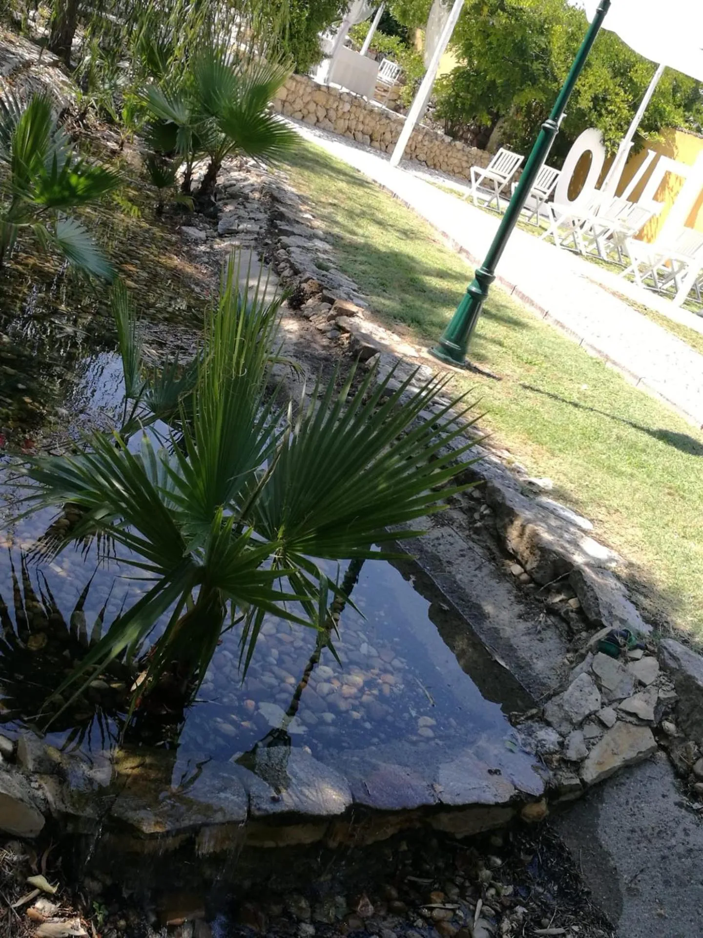 Garden in Quinta Lagus Resort - Casa de Campo