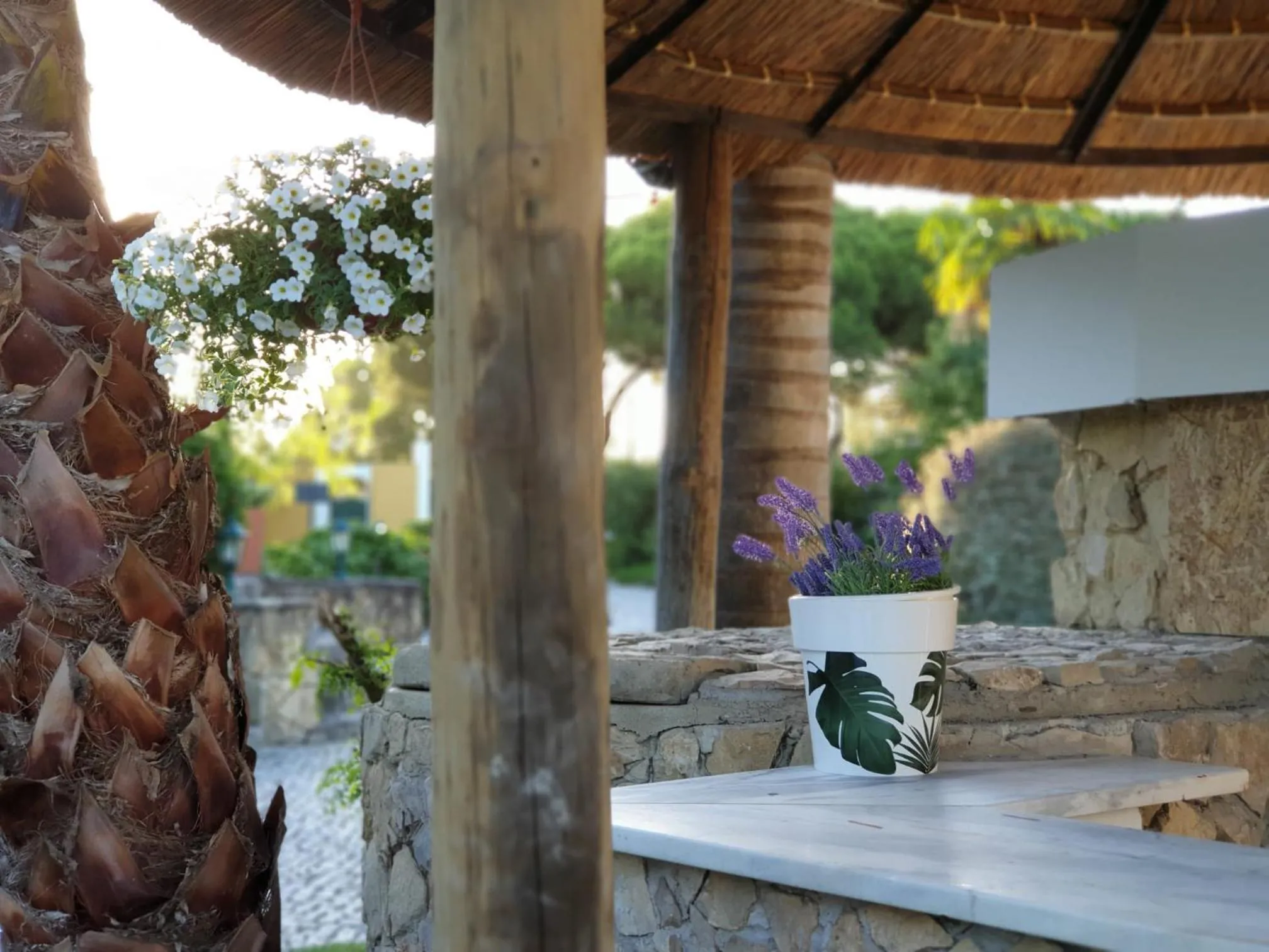 Quinta Lagus Resort - Casa de Campo