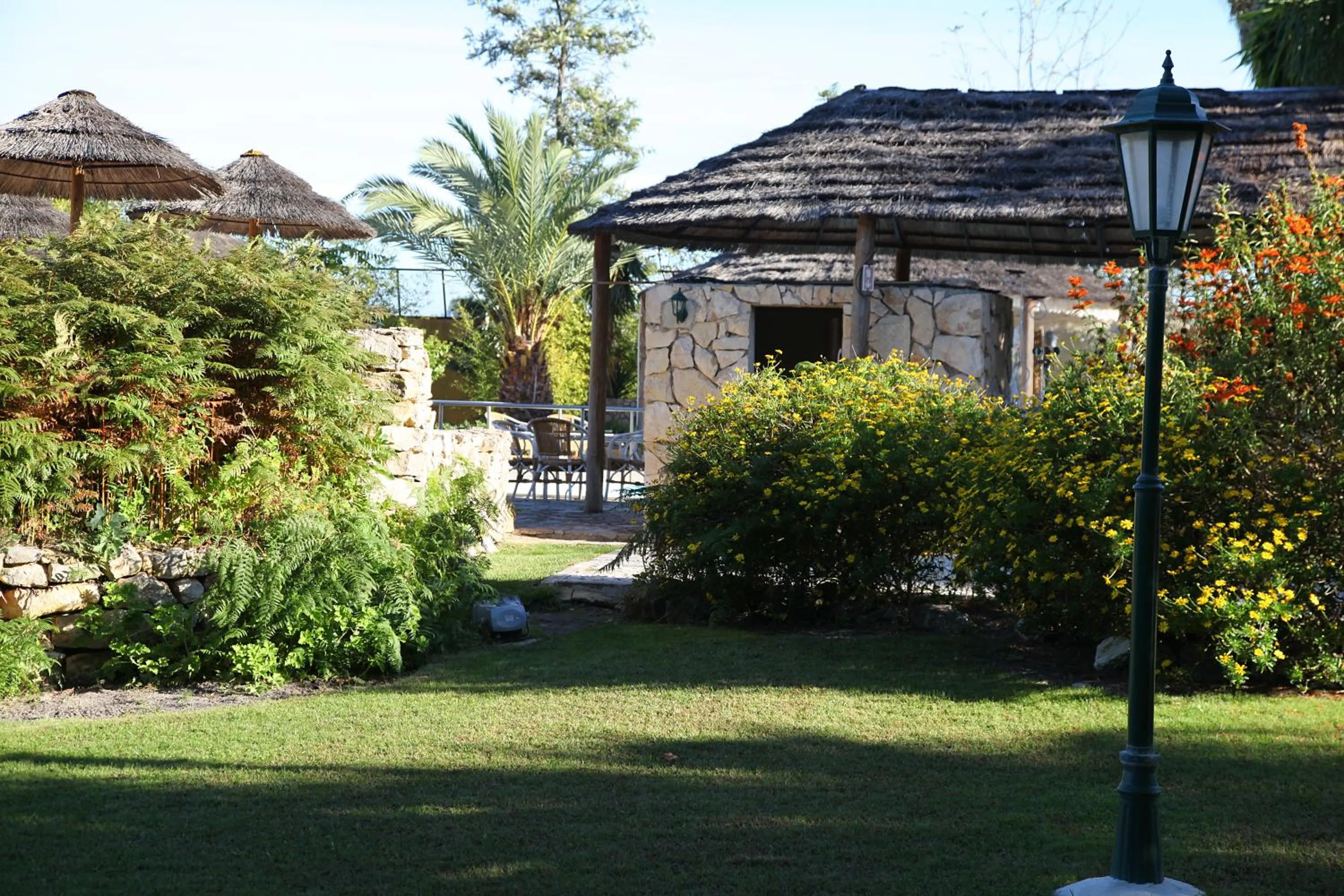 Garden in Quinta Lagus Resort - Casa de Campo
