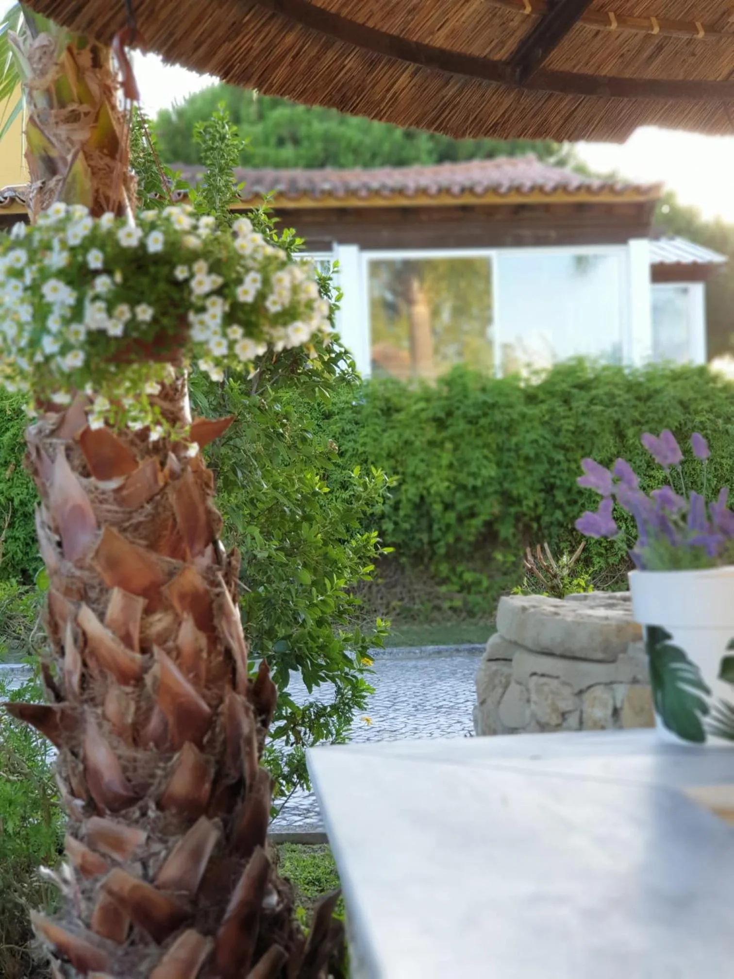 Quinta Lagus Resort - Casa de Campo