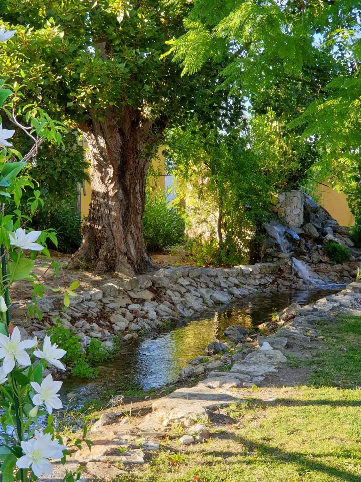 Garden in Quinta Lagus Resort - Casa de Campo
