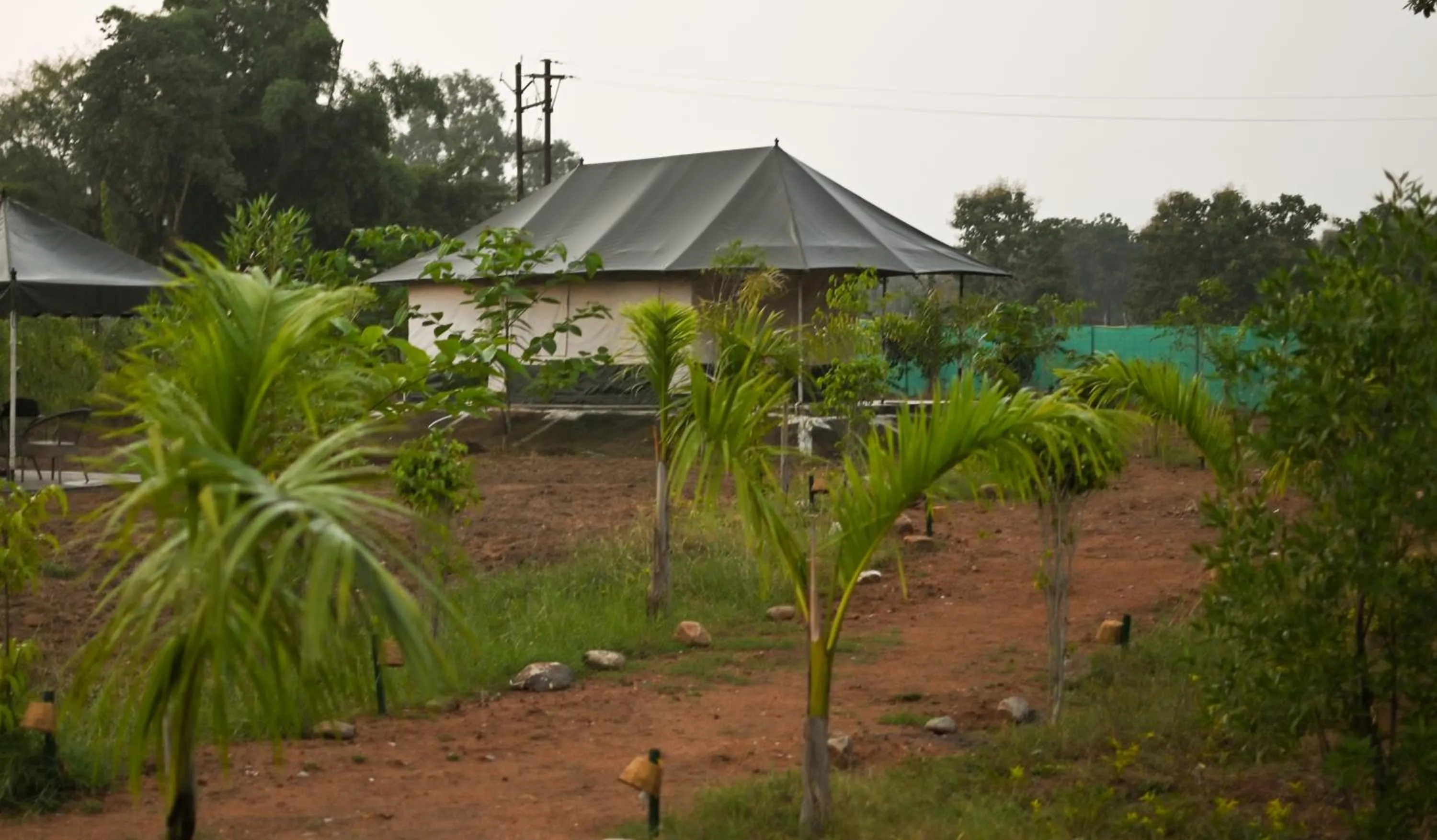 Photo of the whole room in Bundeli Camps and Resorts, Panna