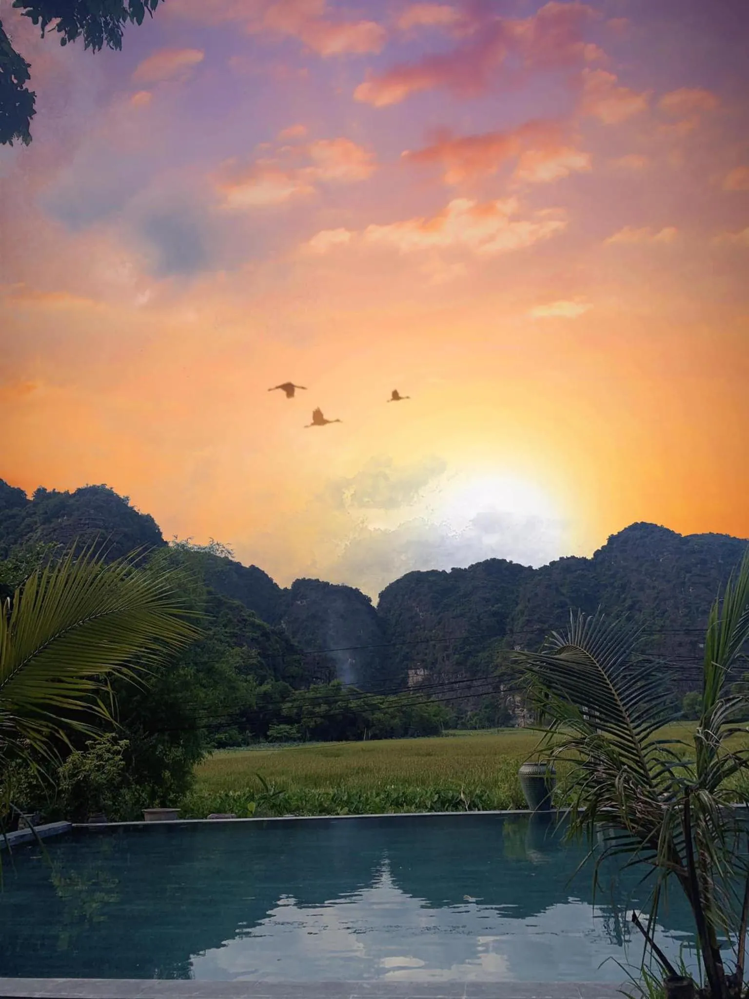 Ninh Binh Retreat
