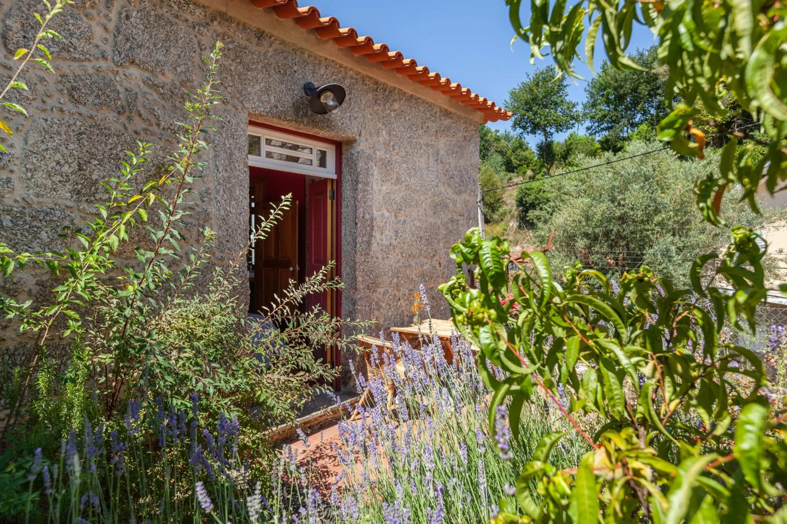Balcony/Terrace in Casa do Eido - sustainable living & nature experiences Gerês