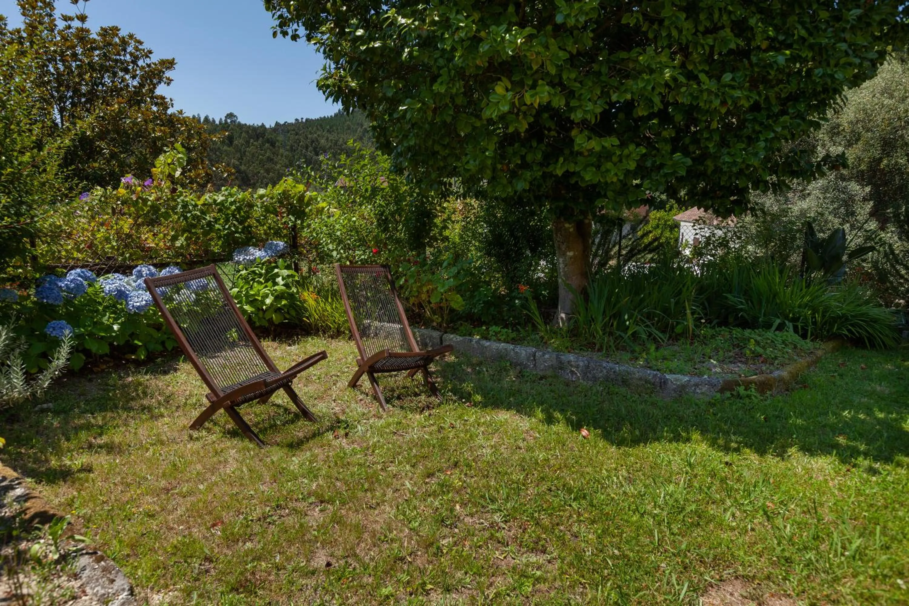 Garden in Casa do Eido - sustainable living & nature experiences Gerês