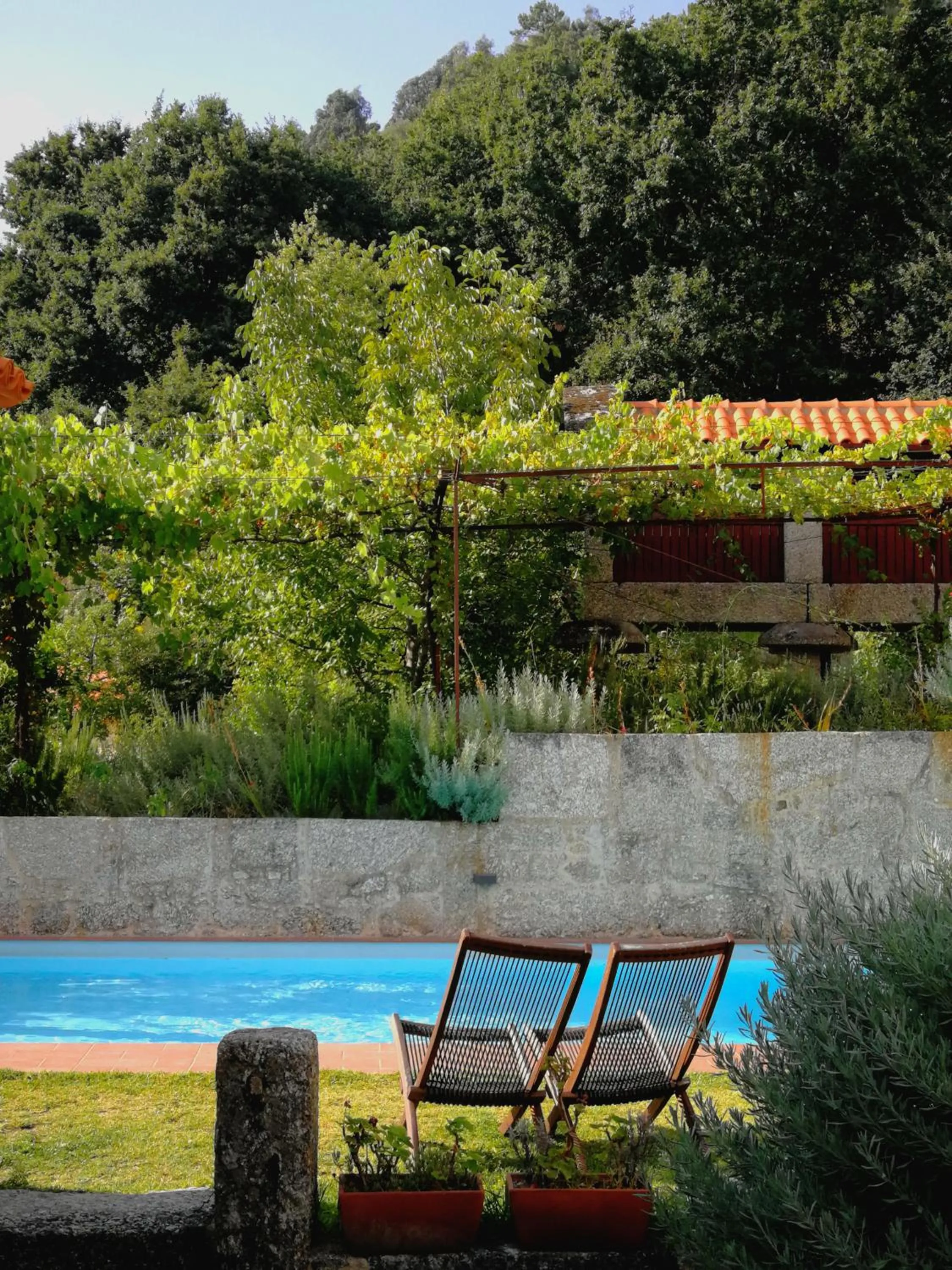 Swimming pool in Casa do Eido - sustainable living & nature experiences Gerês