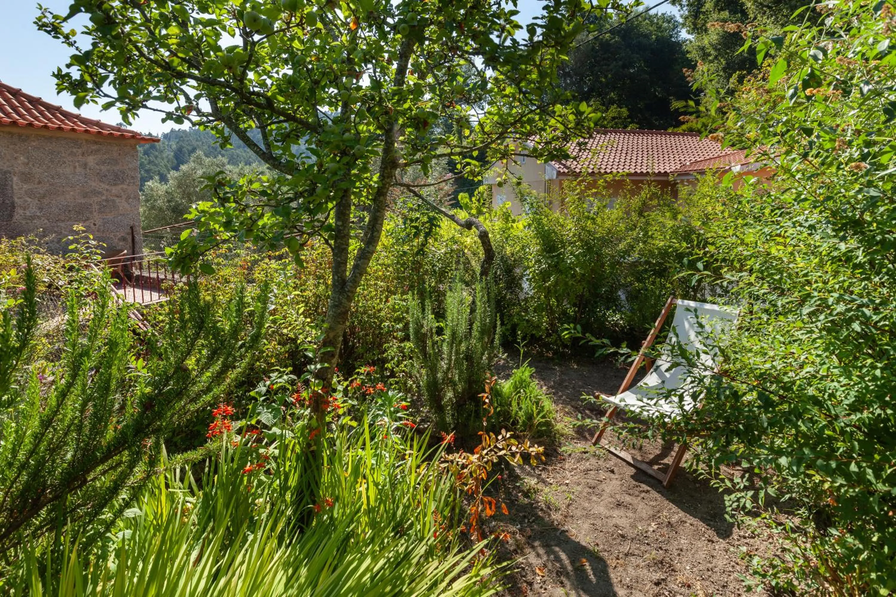Garden in Casa do Eido - sustainable living & nature experiences Gerês