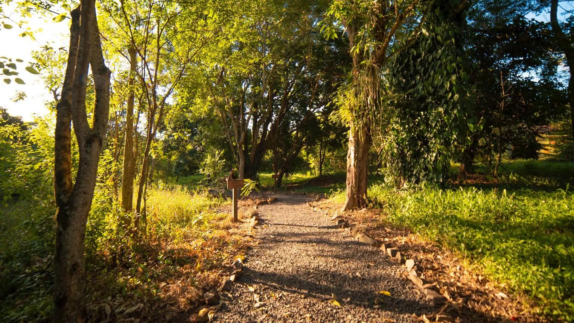 Hiking in Interludium Iguassu Convention Hotel