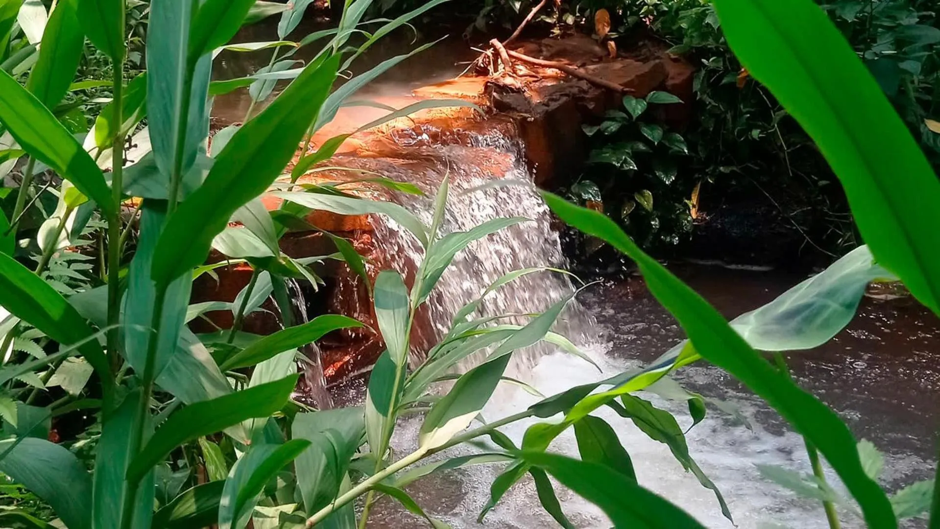 Hiking in Interludium Iguassu Convention Hotel