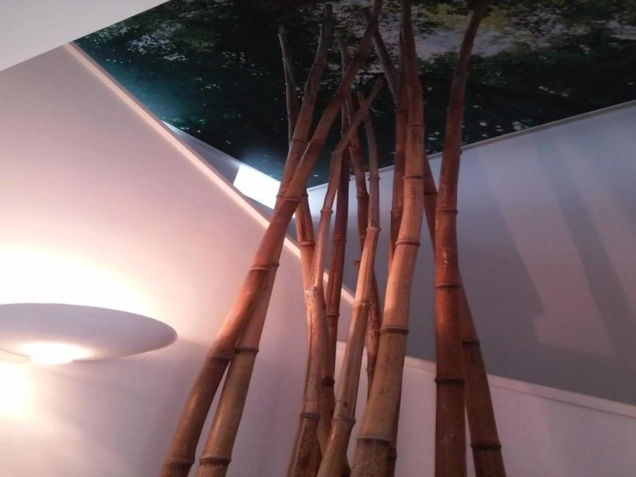 Other in GuimaraesLiving - Hostel & Adventure