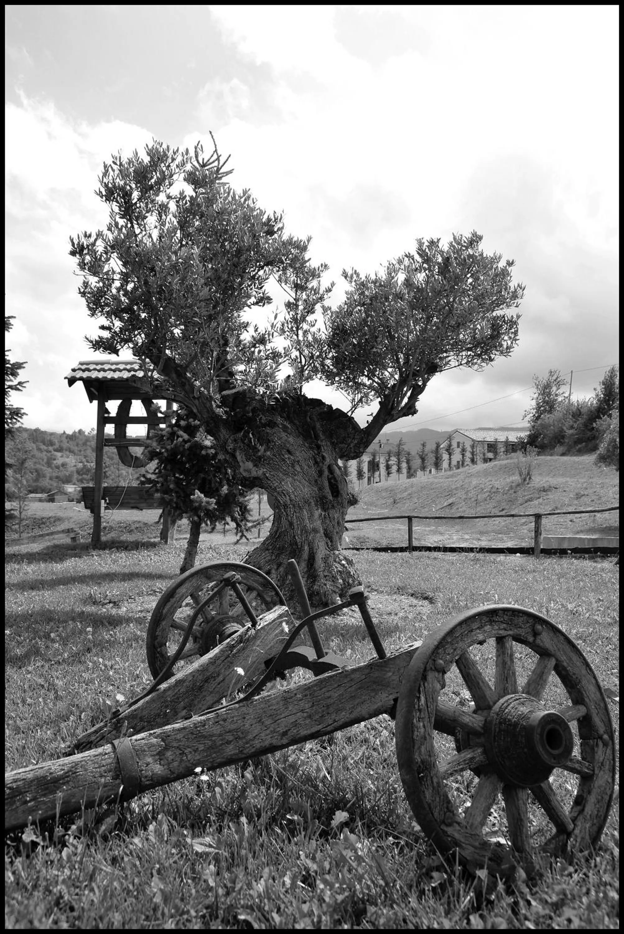 Hiking in Relais Black Horse