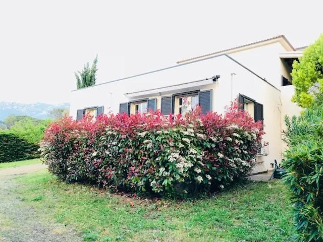 Villa Oliera