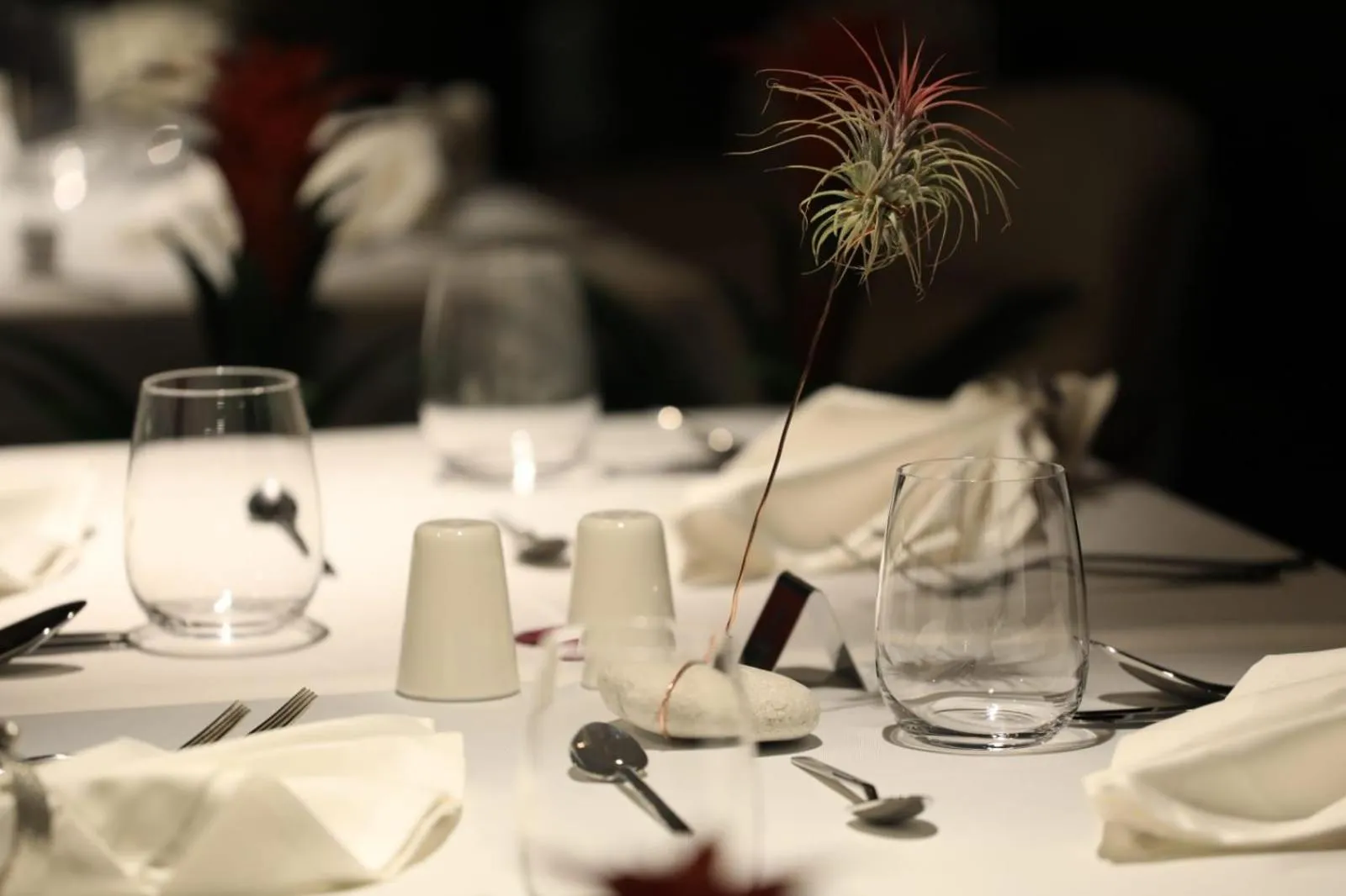 Restaurant/places to eat in Régie Ottoman Istanbul - Special Category