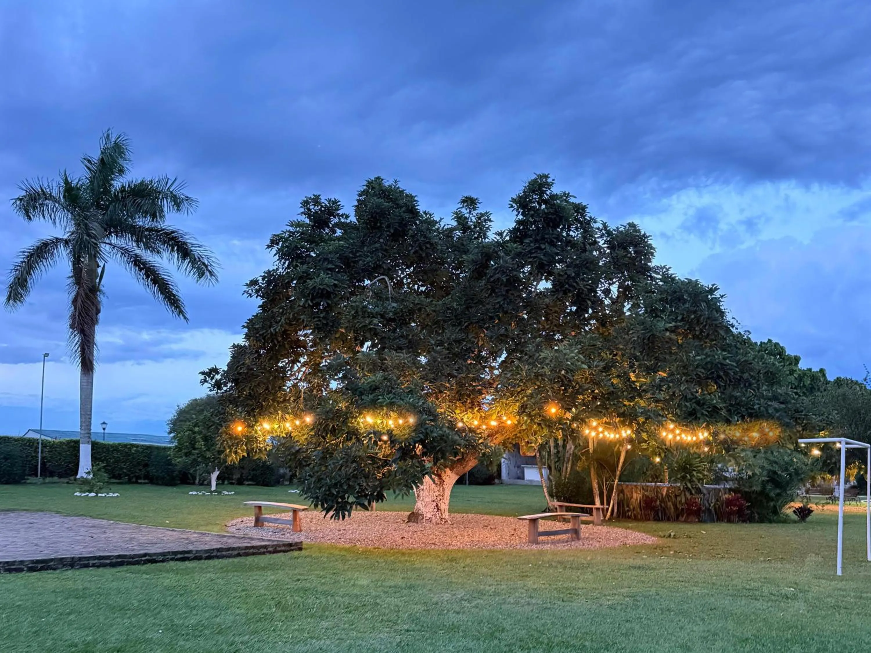 Finca Hotel Palmas Del Edén