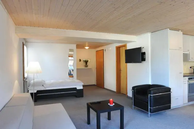 Apartment Lenkstrasse 6 C Apartment Lenkstrasse 6 C