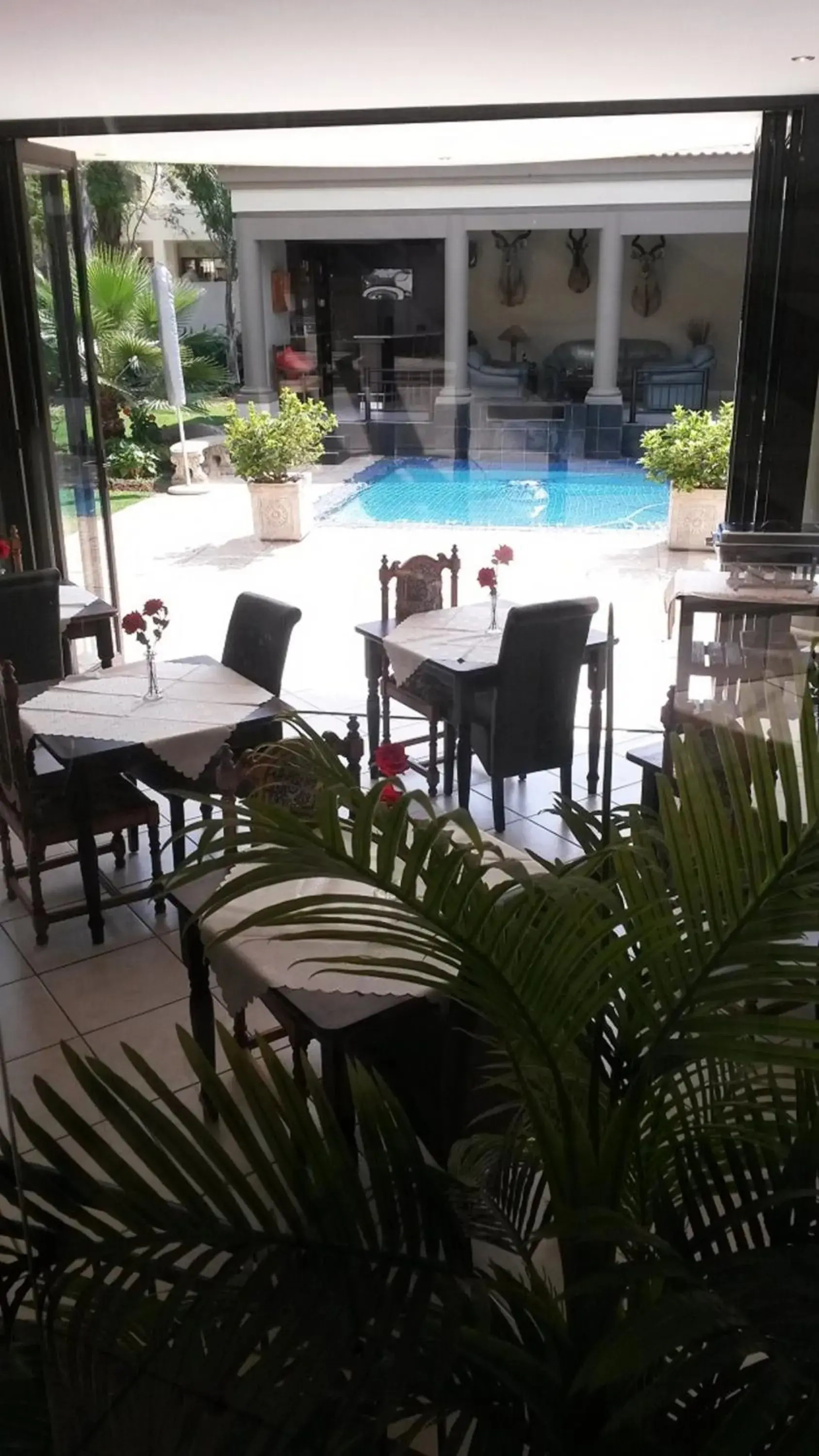 Lounge or bar in Casa Flora Guesthouse Lounge or bar in Casa Flora Guesthouse