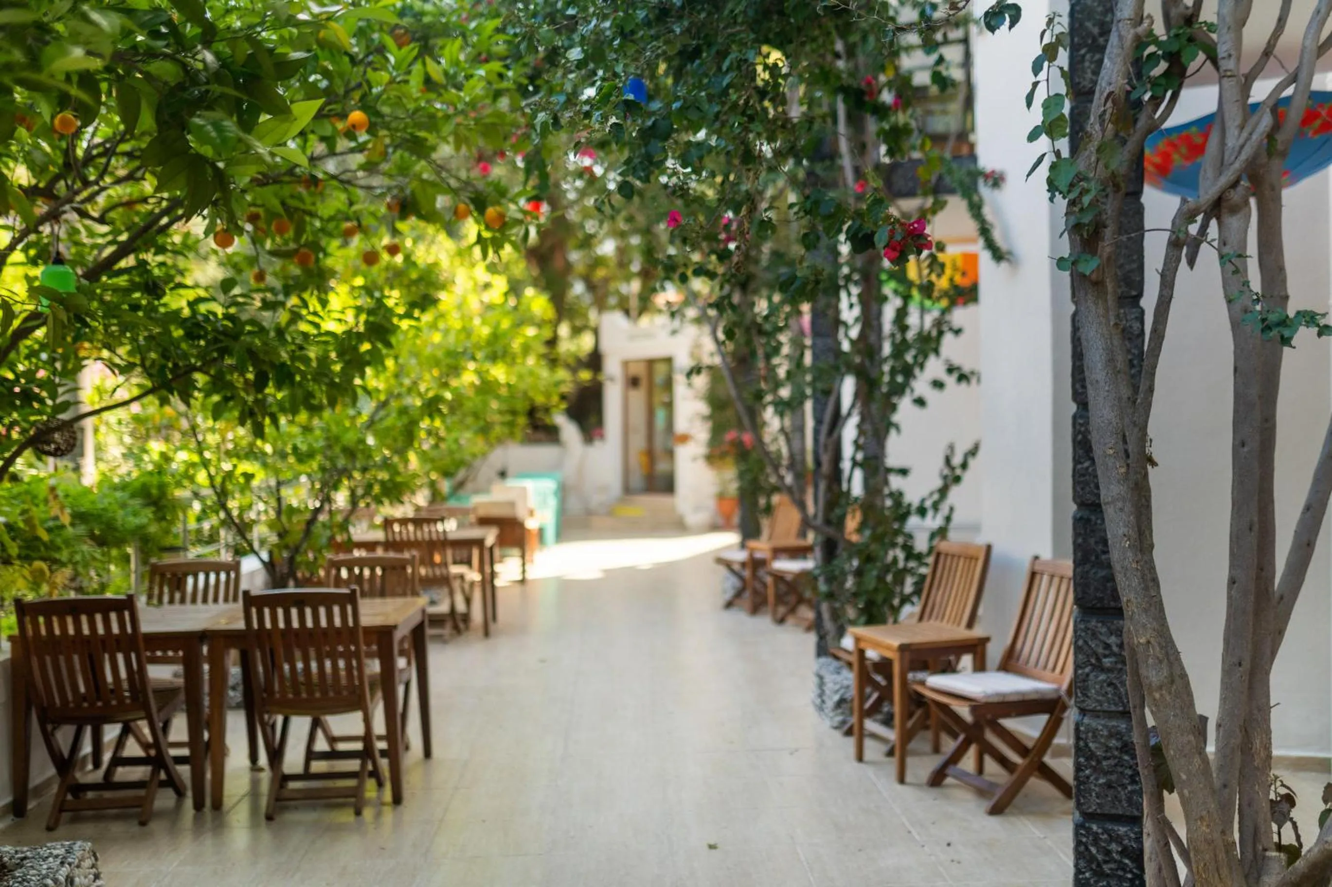 Garden in Eden Pyara Hotel Turunc