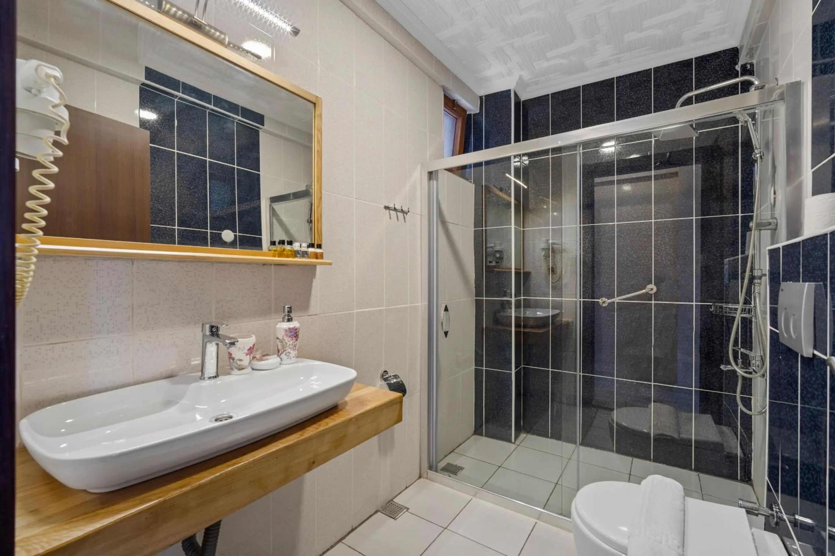 Bathroom in Eden Pyara Hotel Turunc